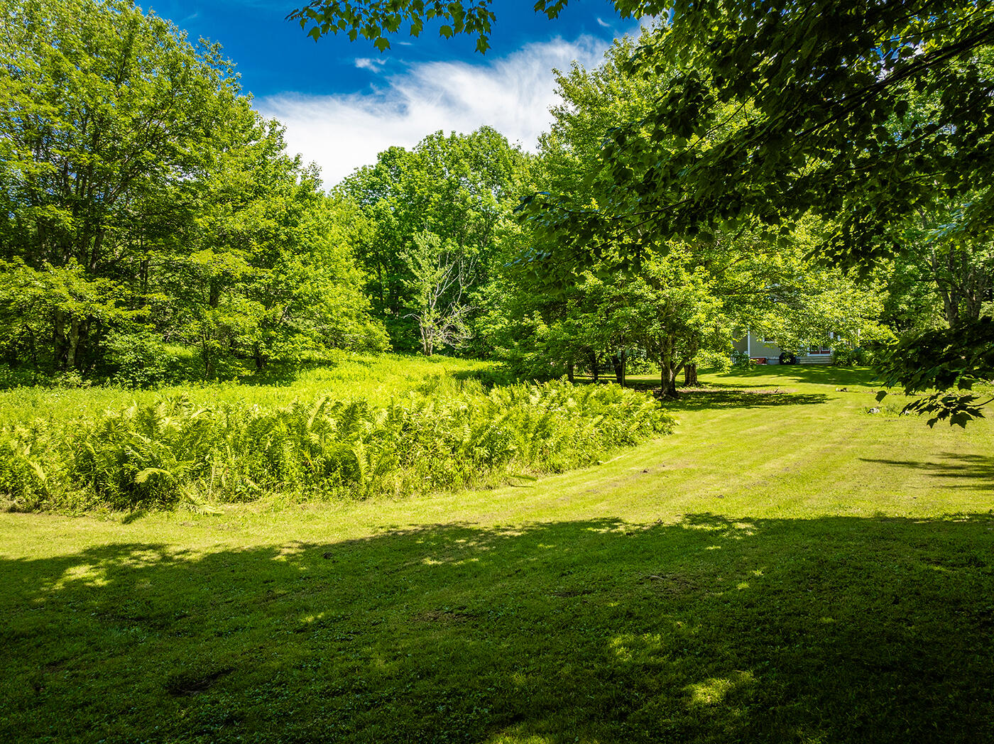 245 Bog Road