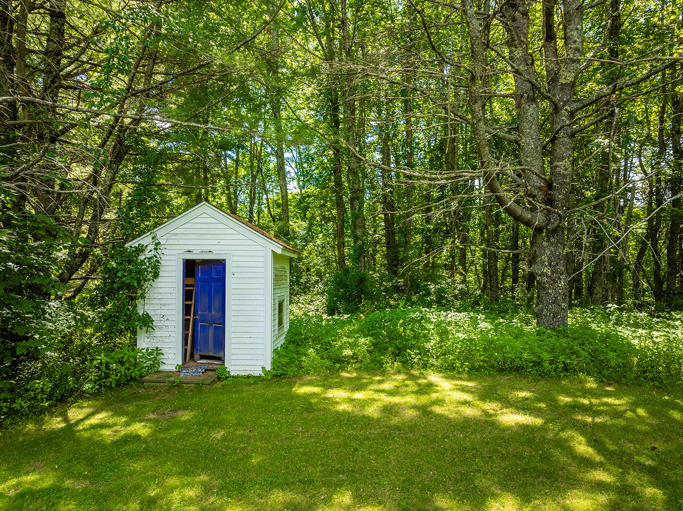 245 Bog Road