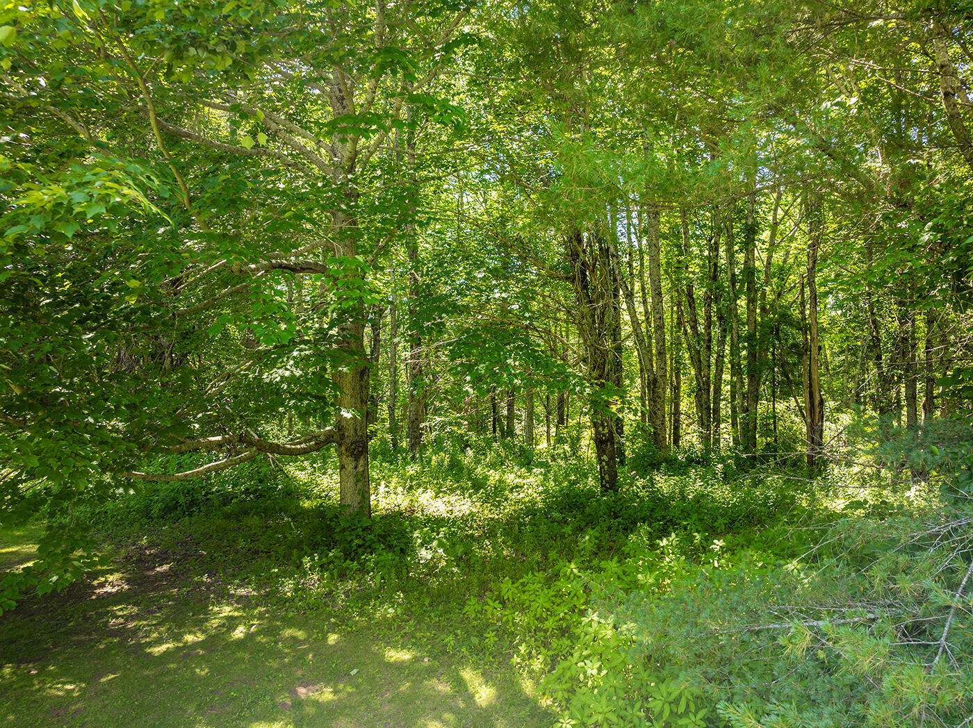 245 Bog Road