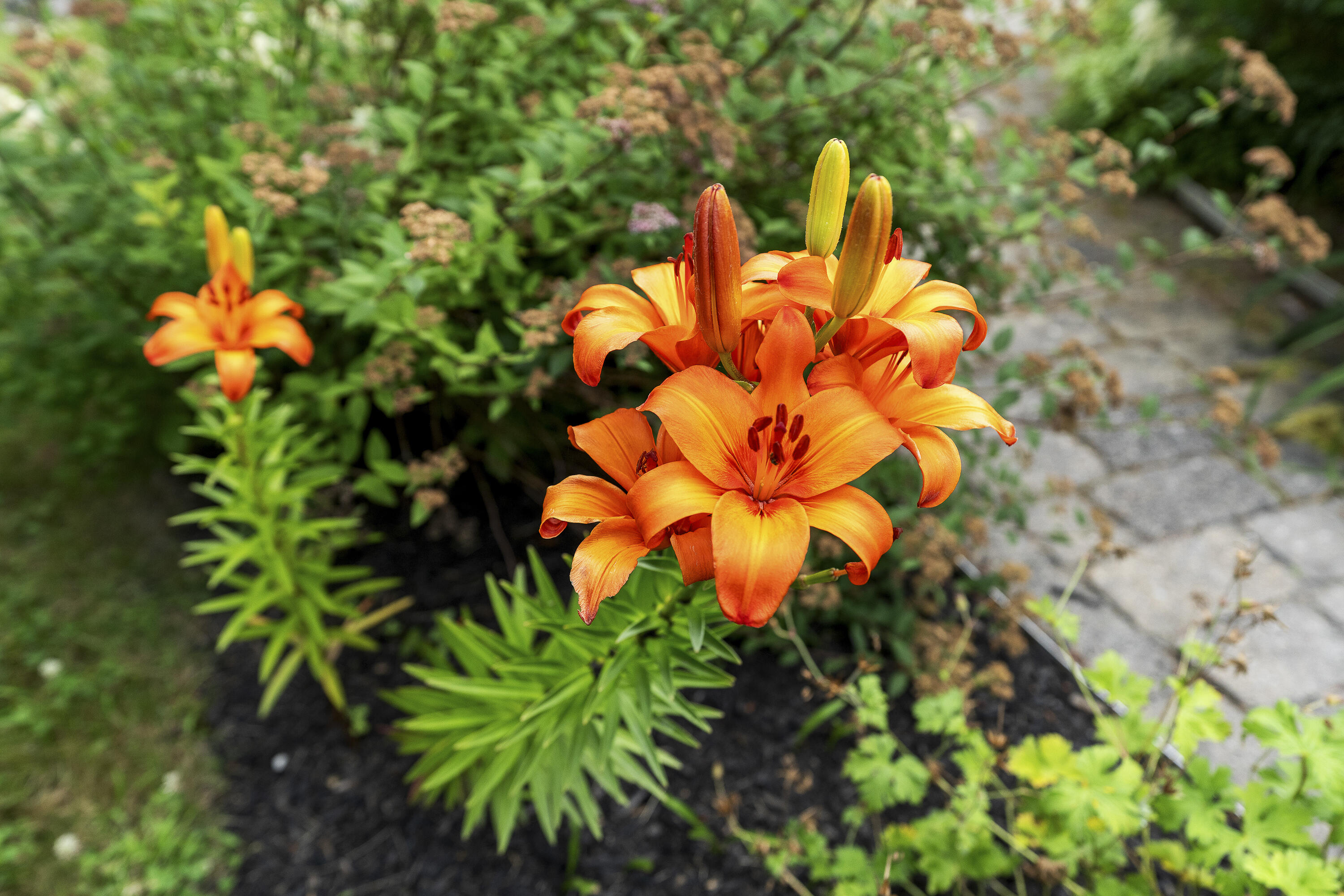 40 Kelsey Drive