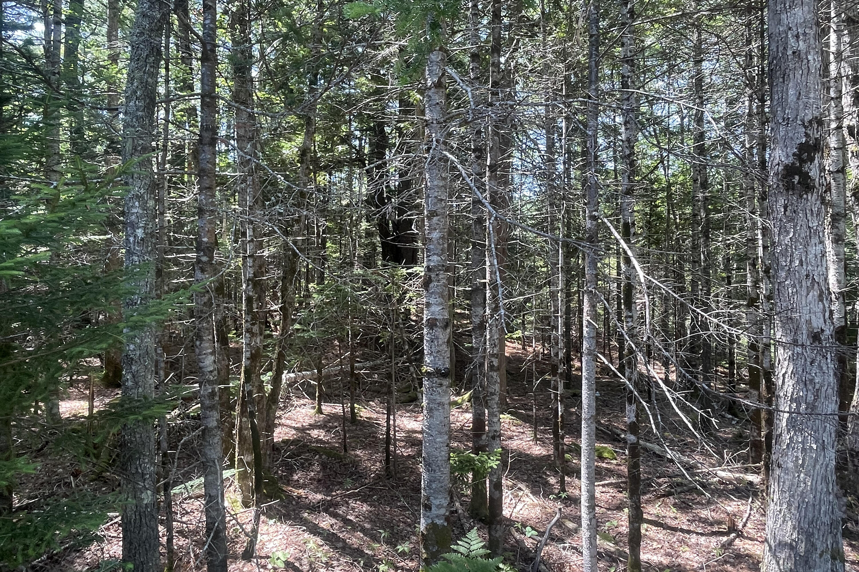 0 Denning Brook Road
