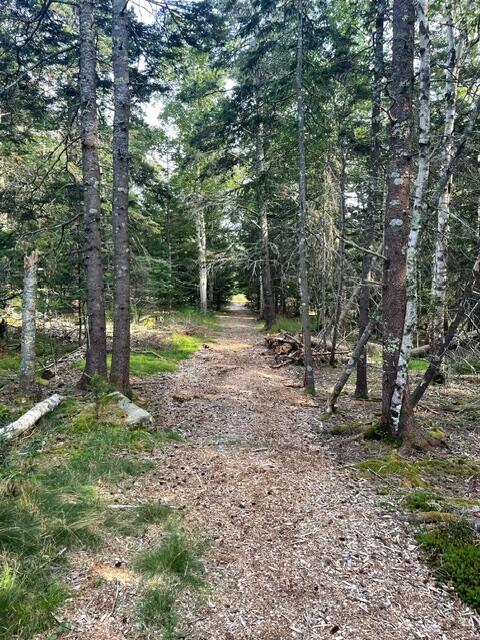 Lot 4 Sophie's Way Way