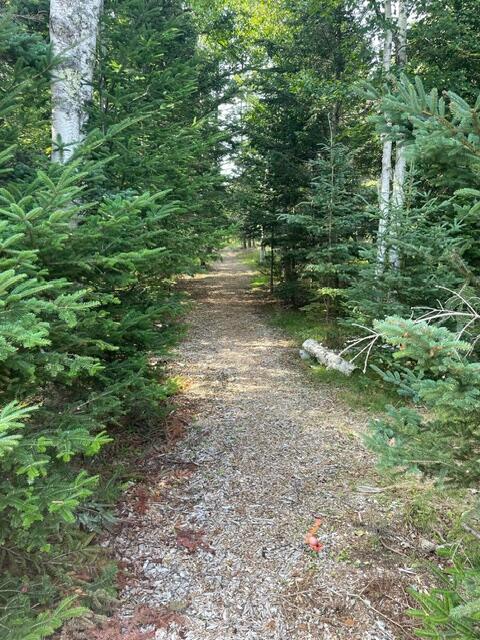 Lot 4 Sophie's Way Way