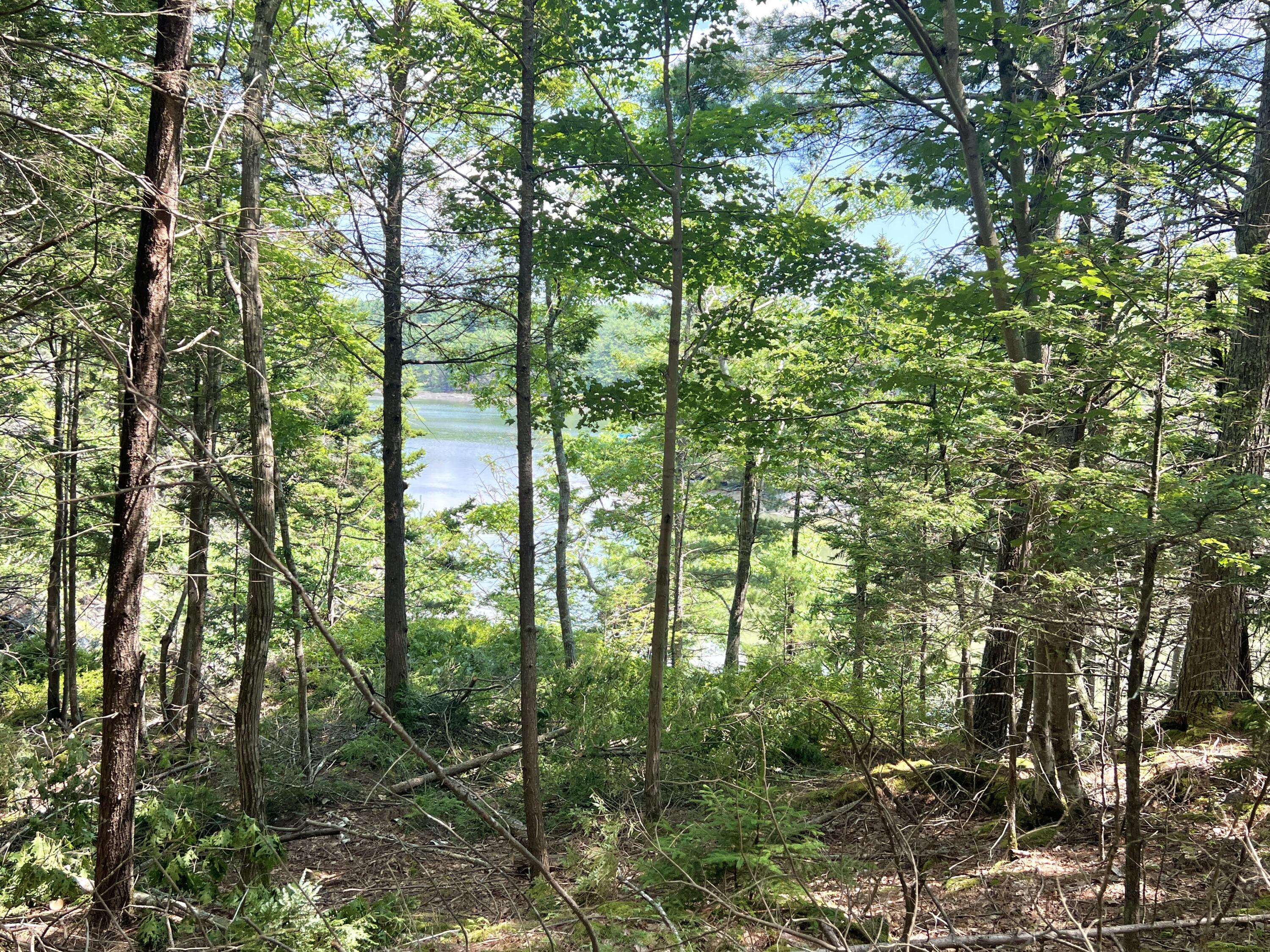 Lot A Mountain Road
