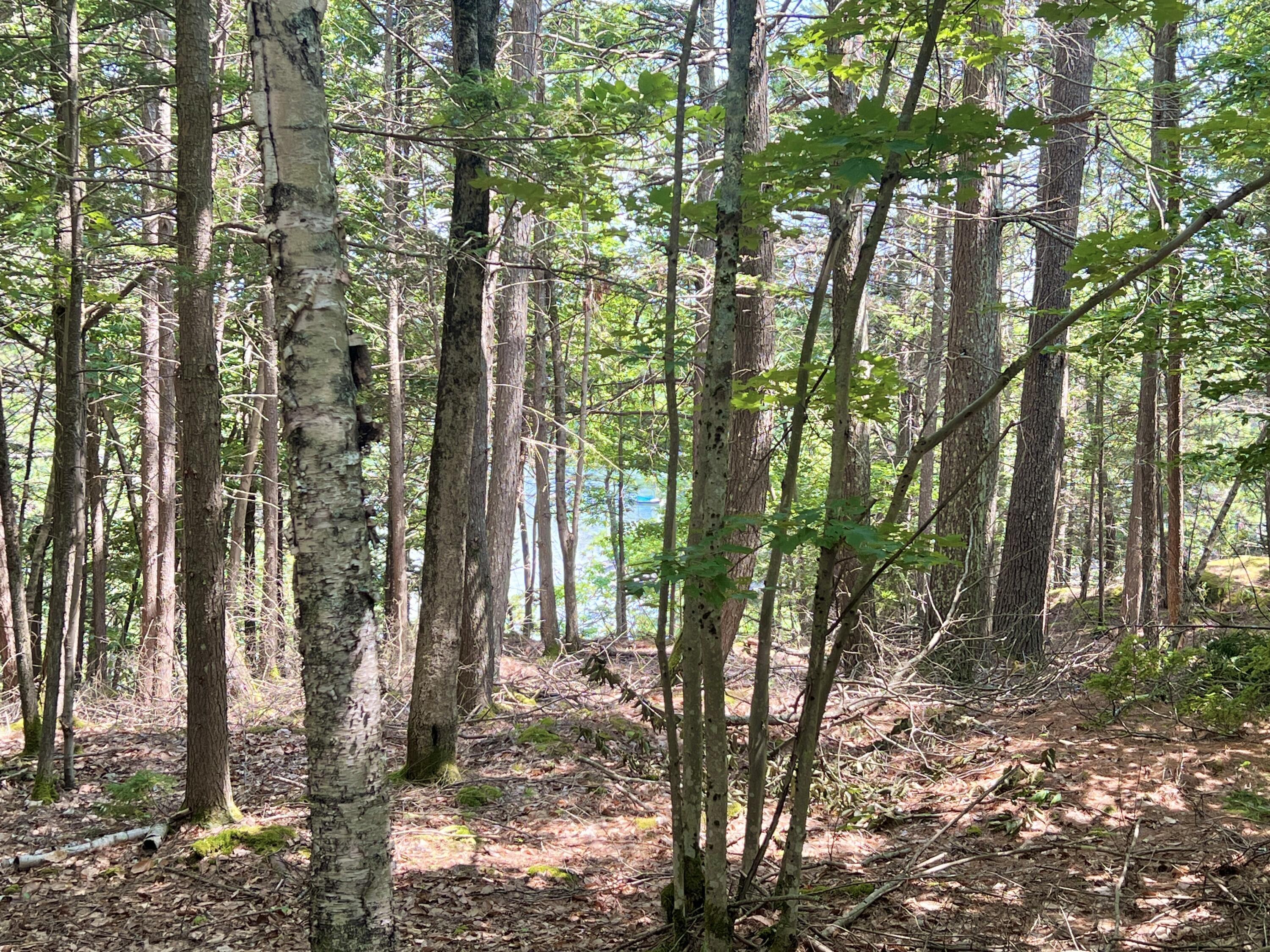 Lot A Mountain Road