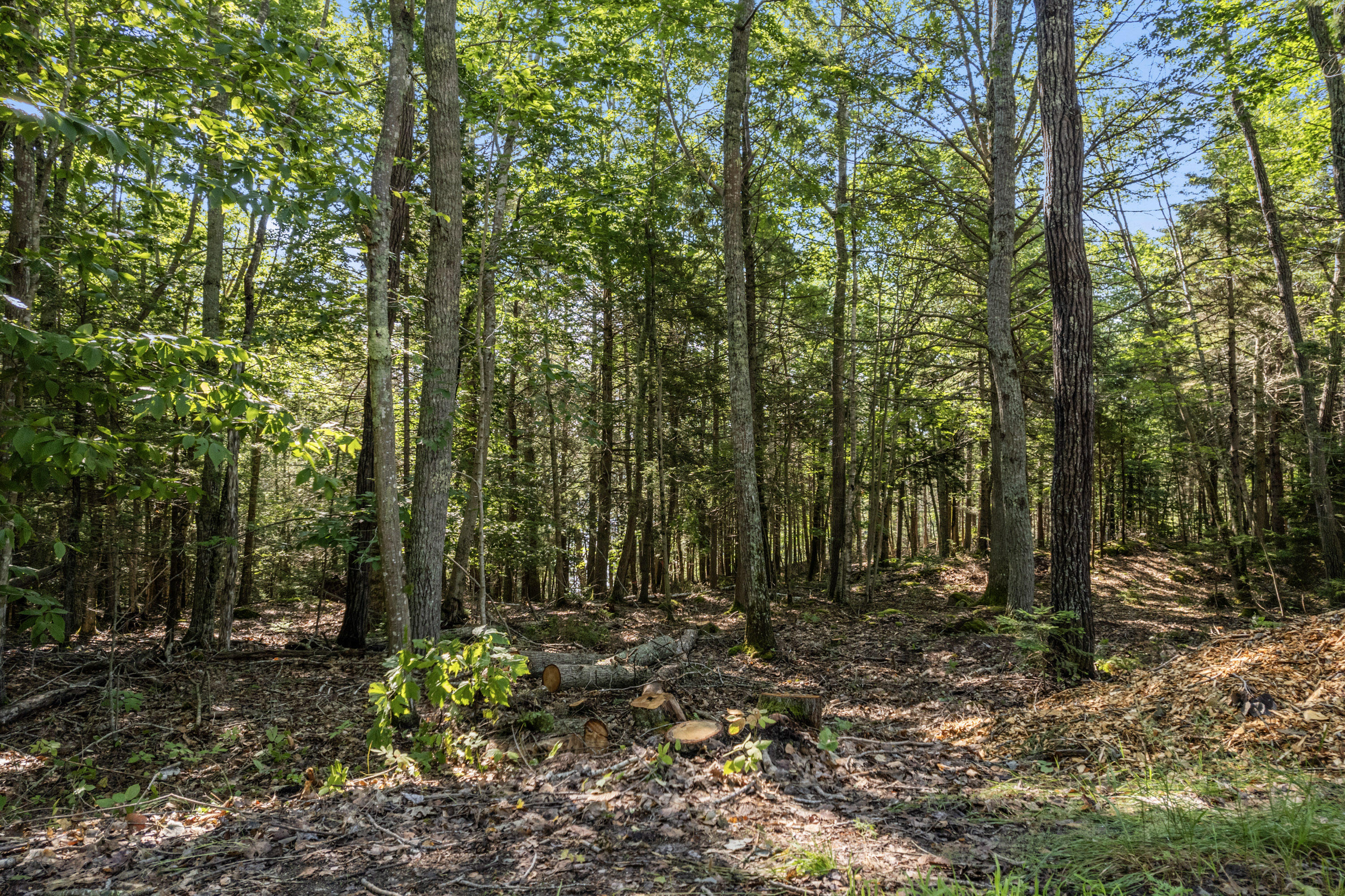 Lot A Mountain Road