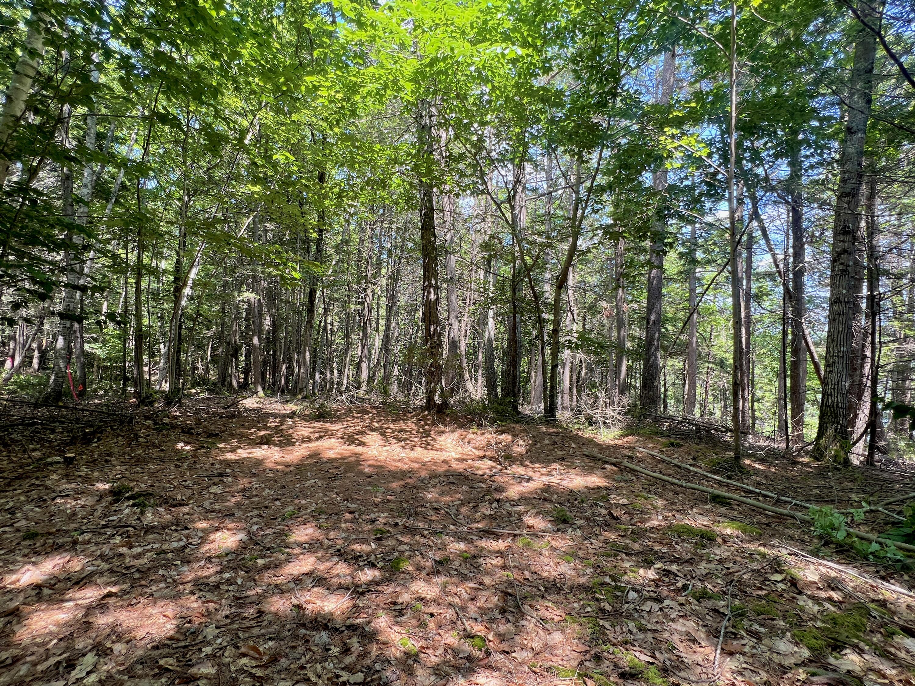 Lot A Mountain Road
