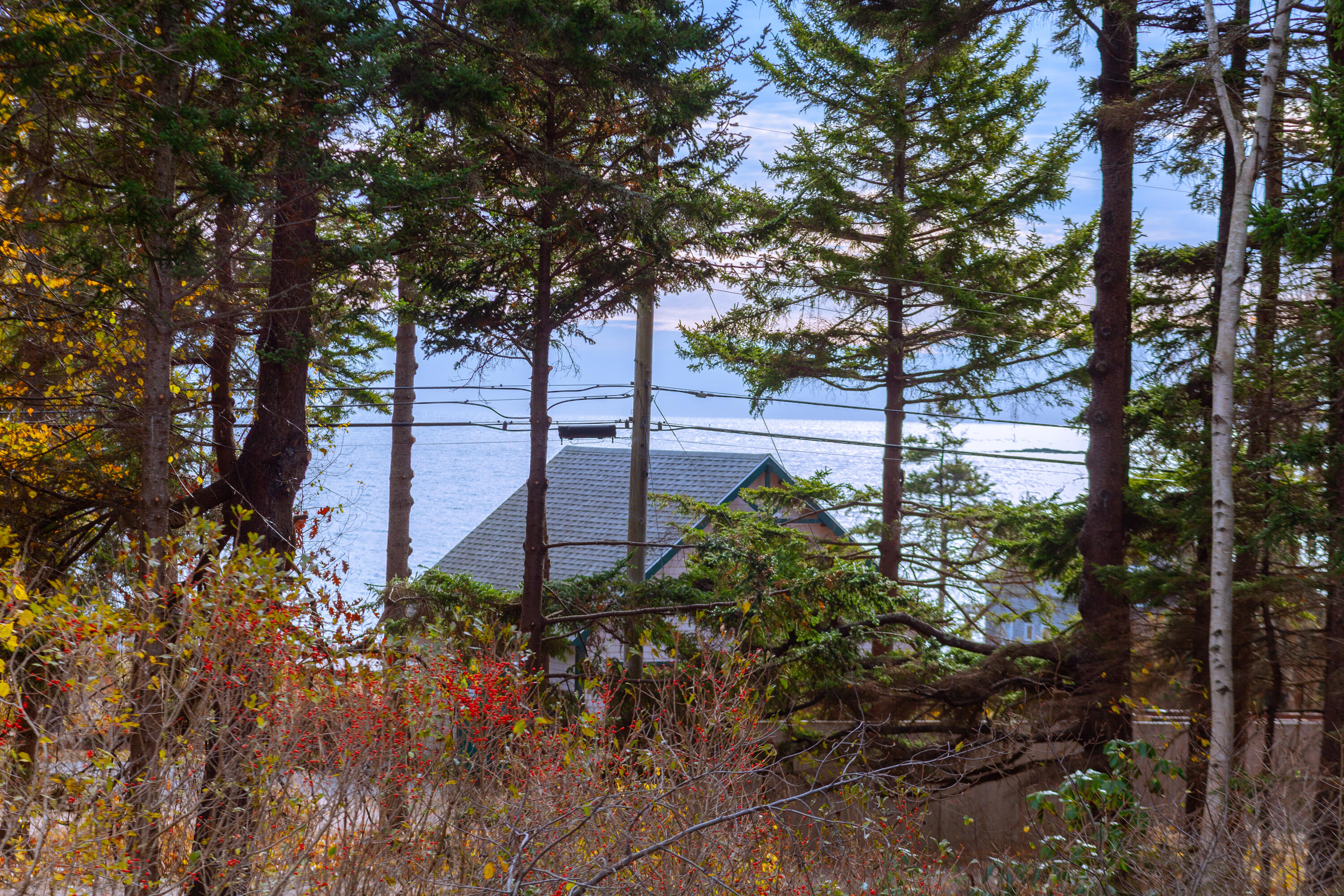 49 Cedar Beach Road