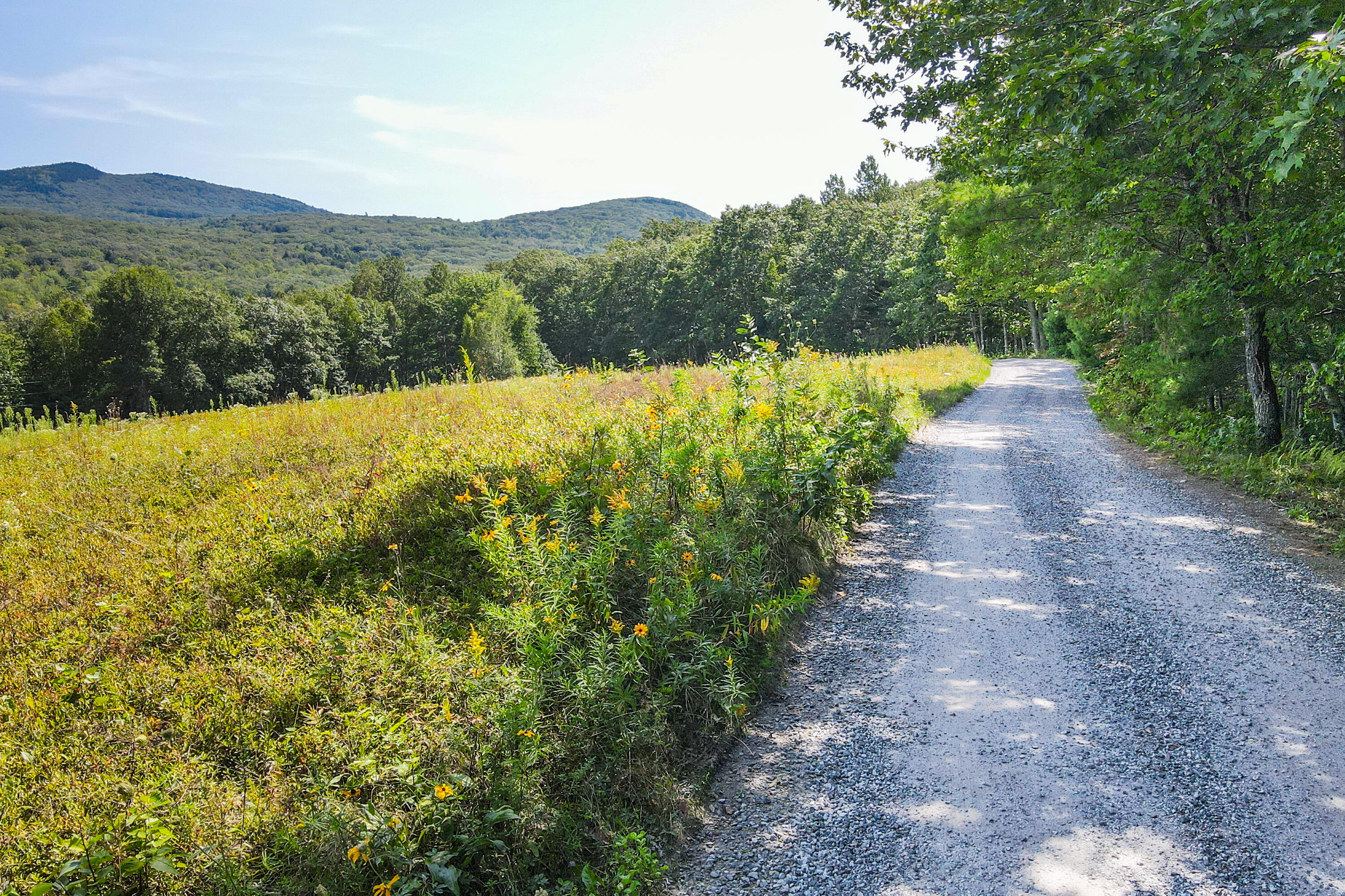Lot 24 Payson Path