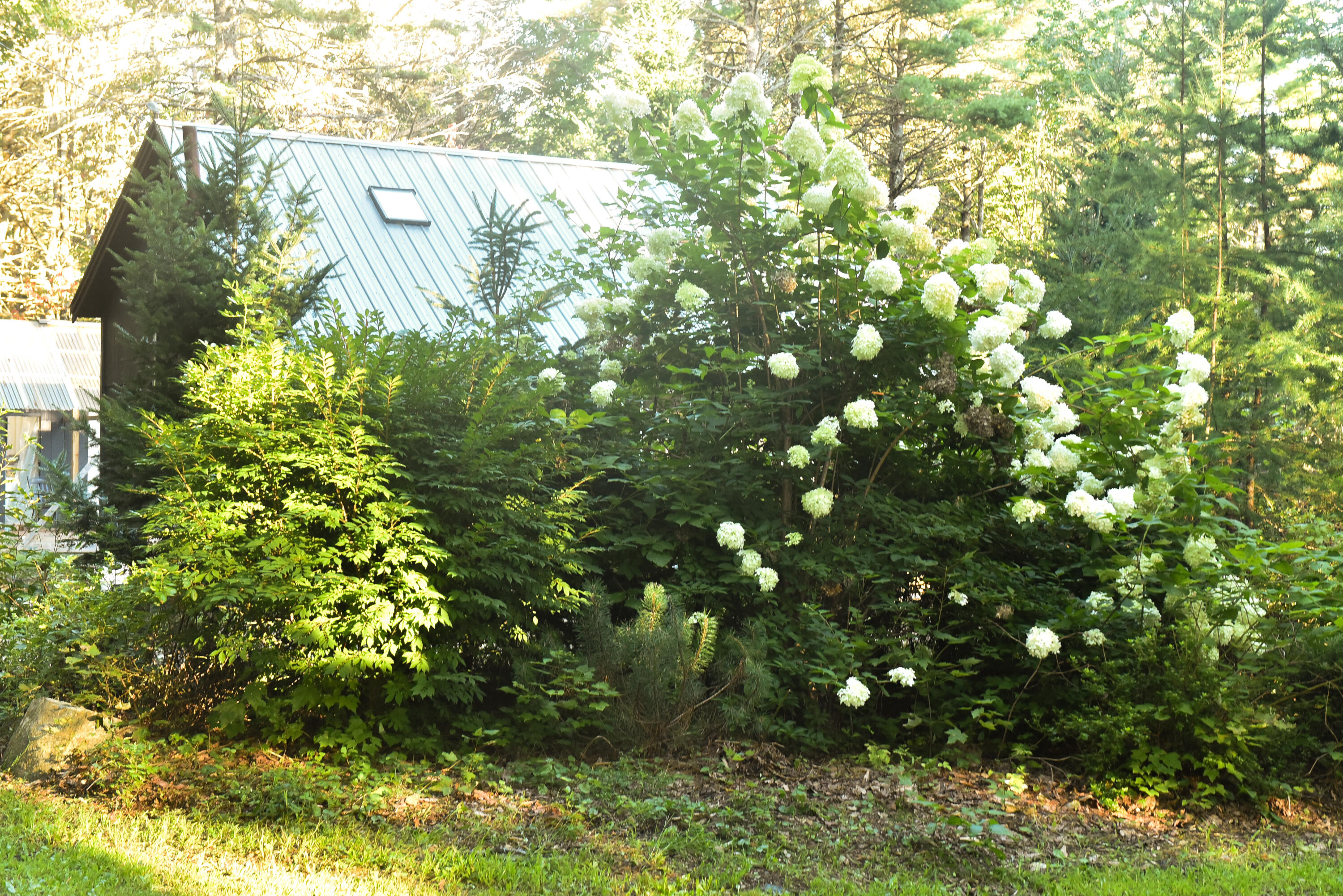 477 N North Penobscot Road