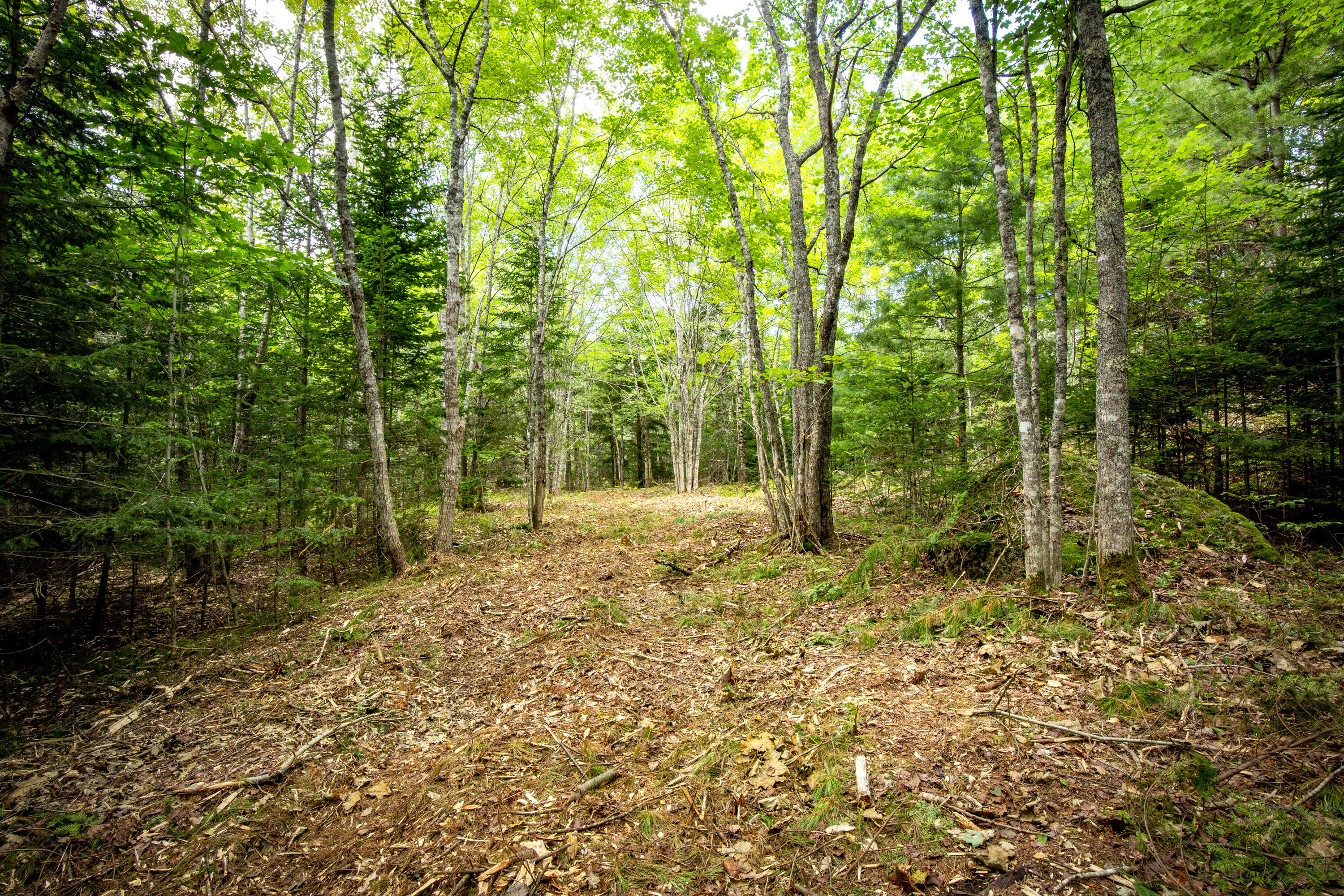Lot 27 Seal Harbor Road