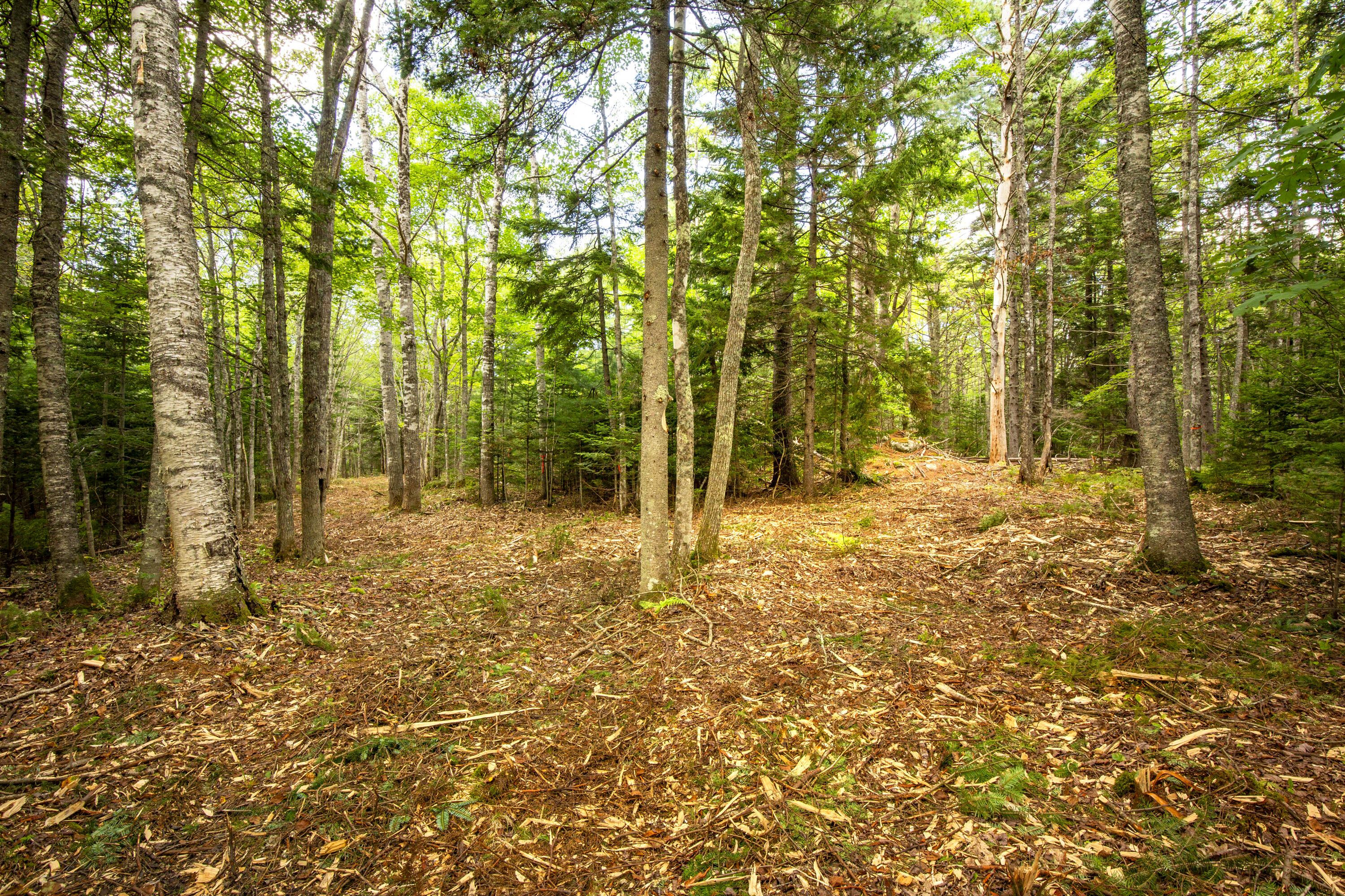 Lot 27 Seal Harbor Road