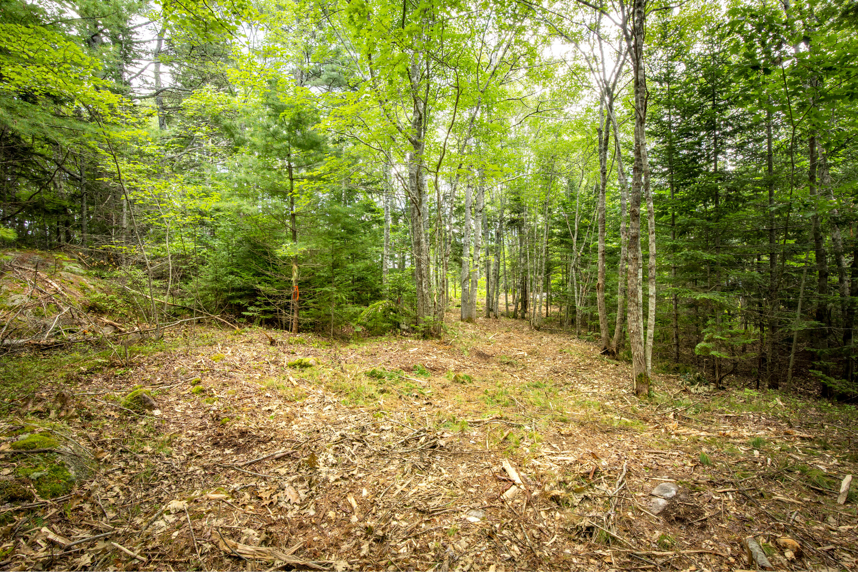 Lot 27 Seal Harbor Road