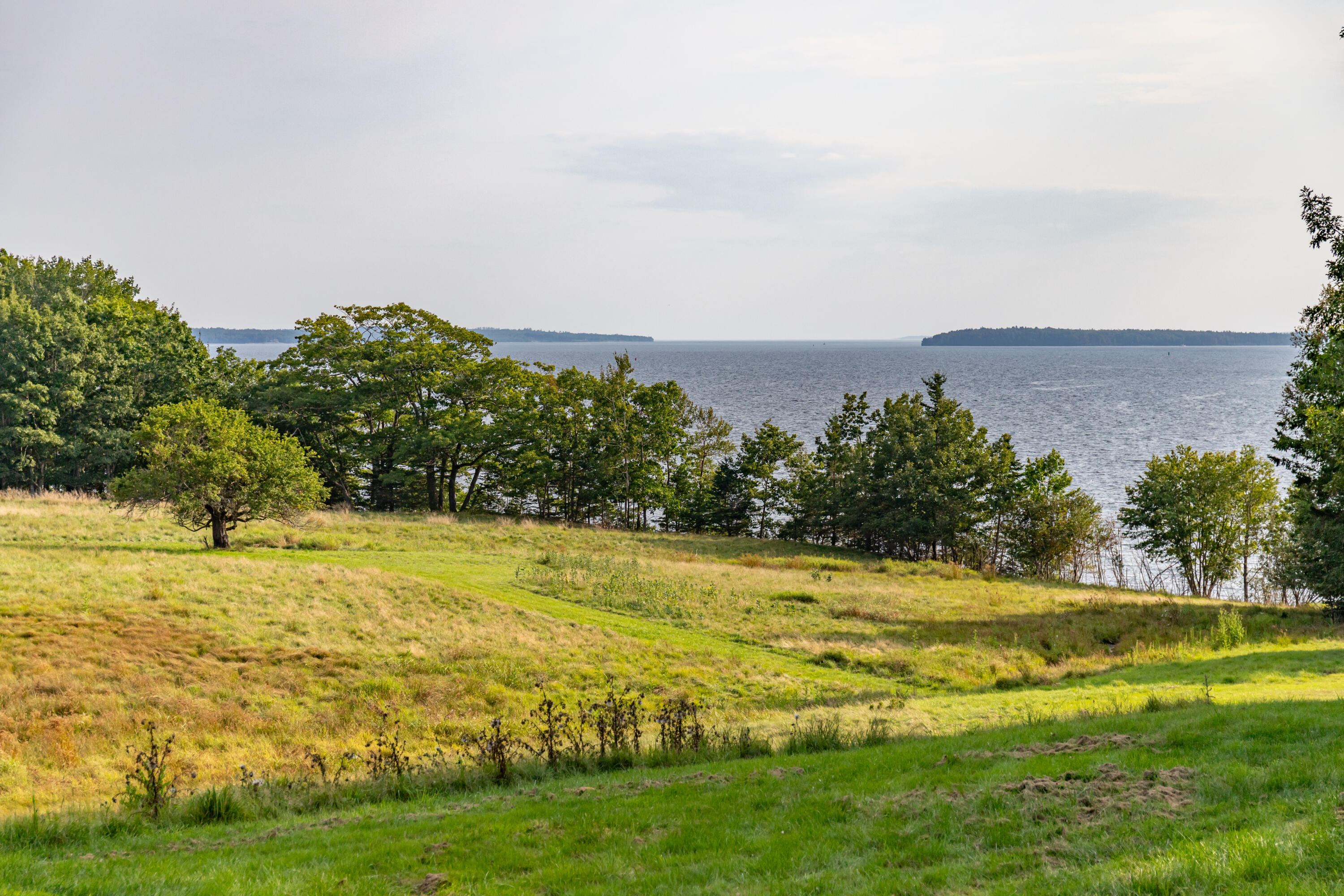 217 West Side Drive