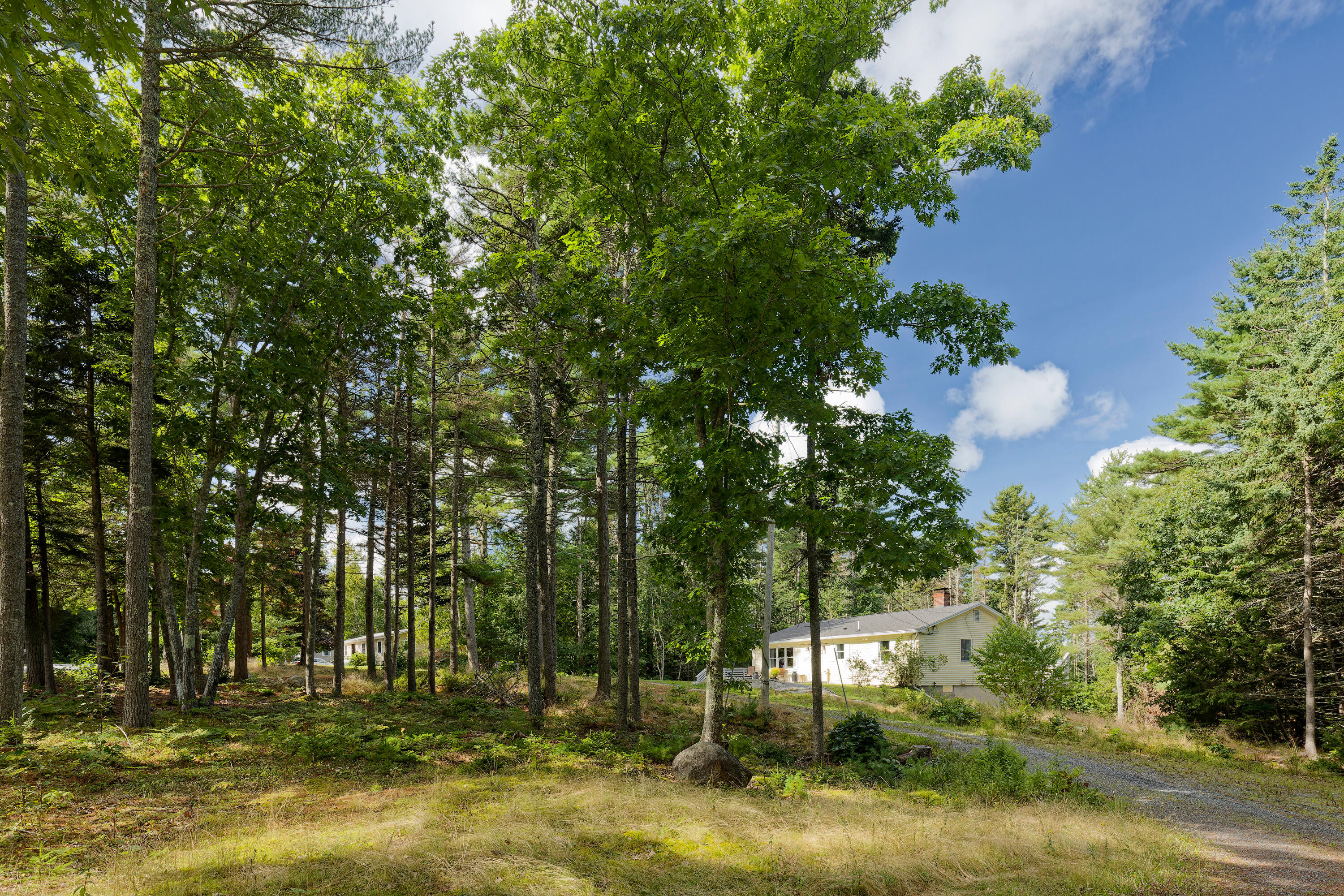 47 Reed Road
