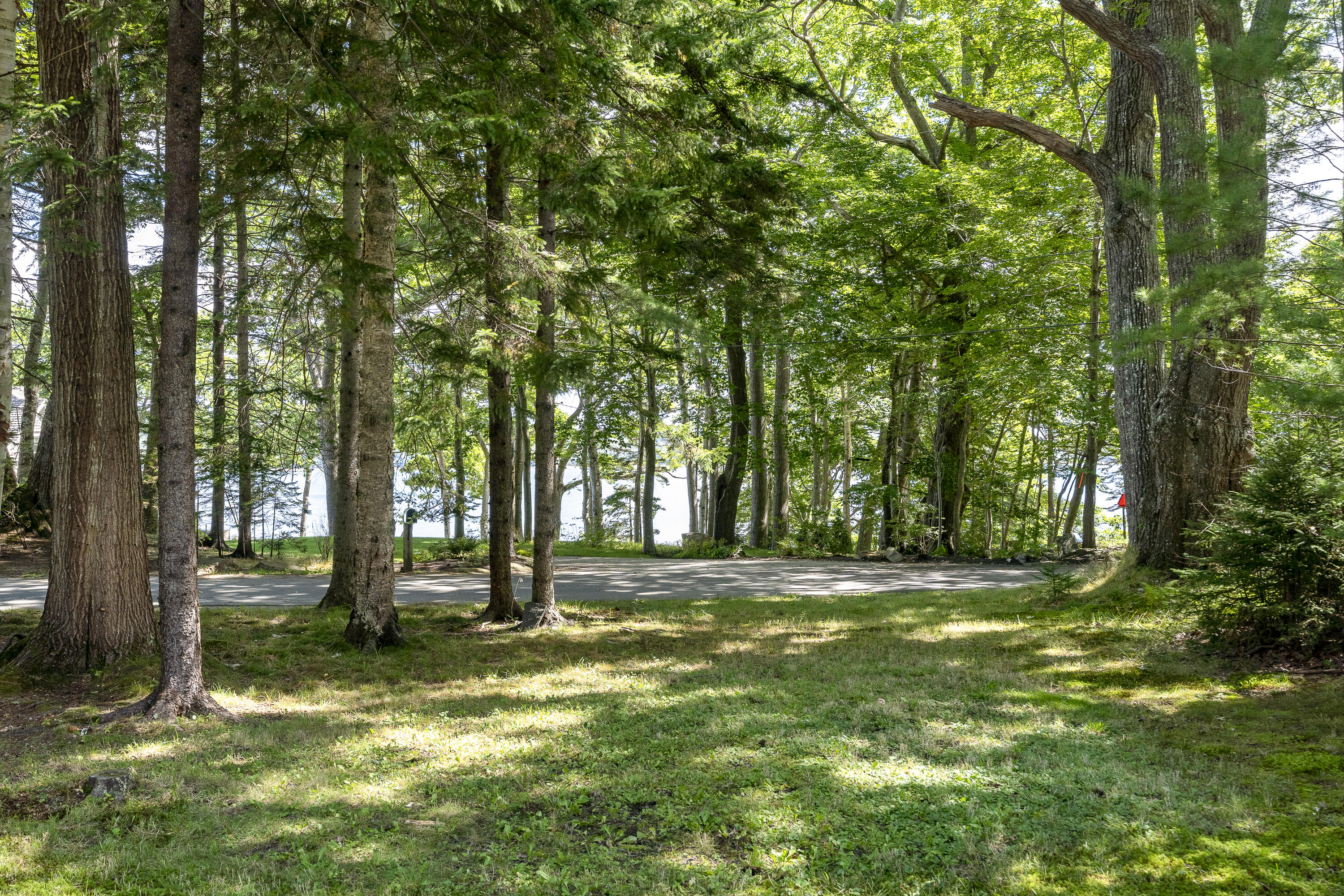 151 Spruce Point Road
