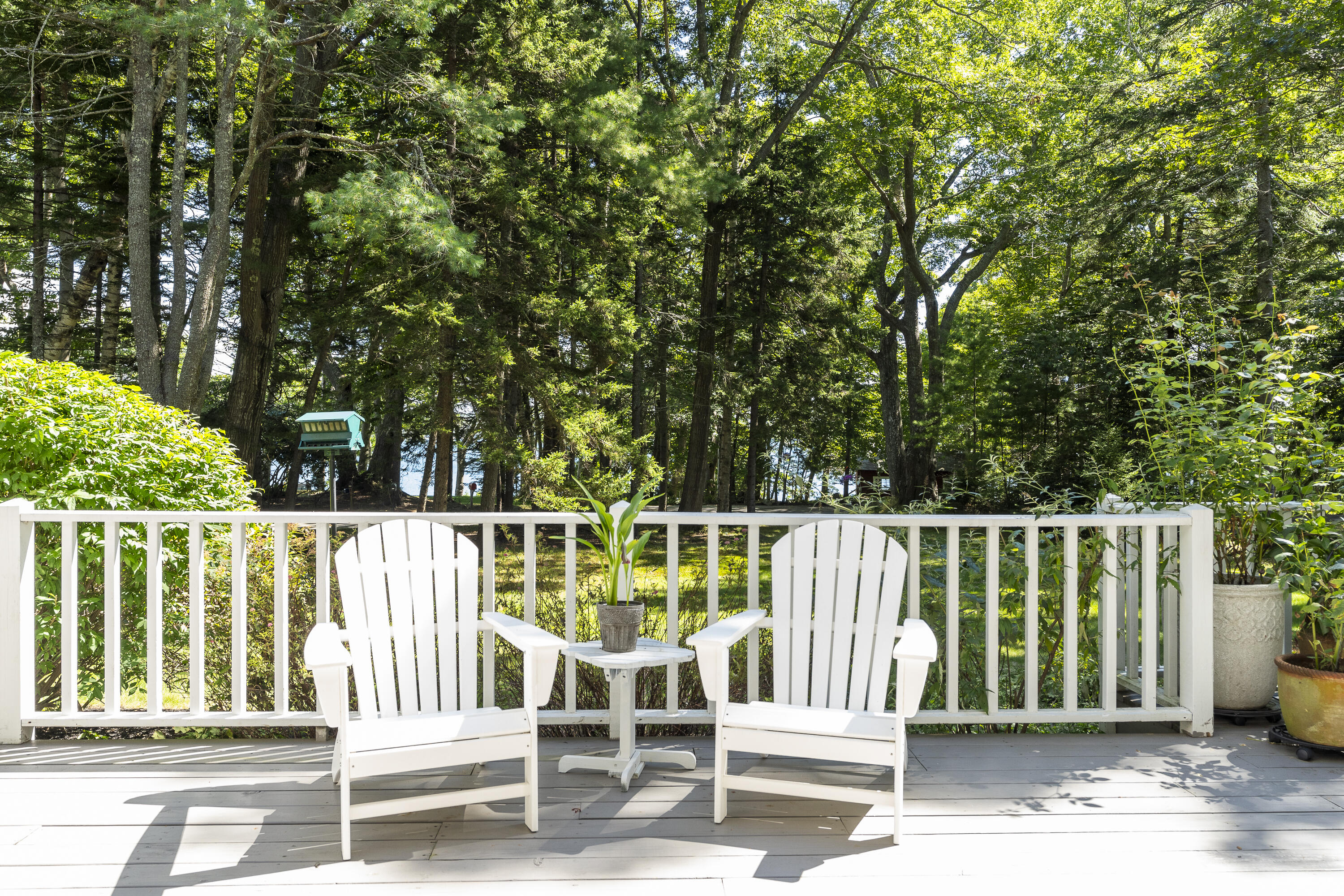 151 Spruce Point Road