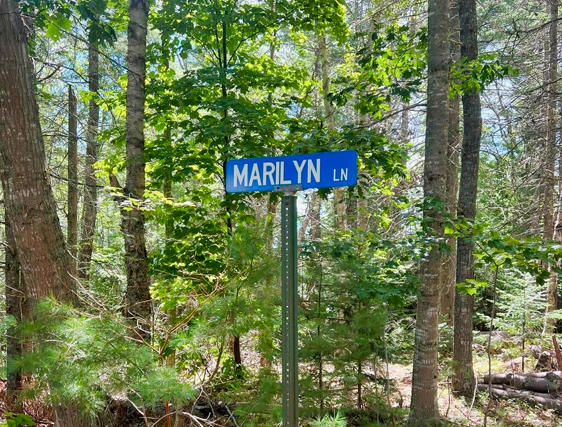 00 Marilyn Lane
