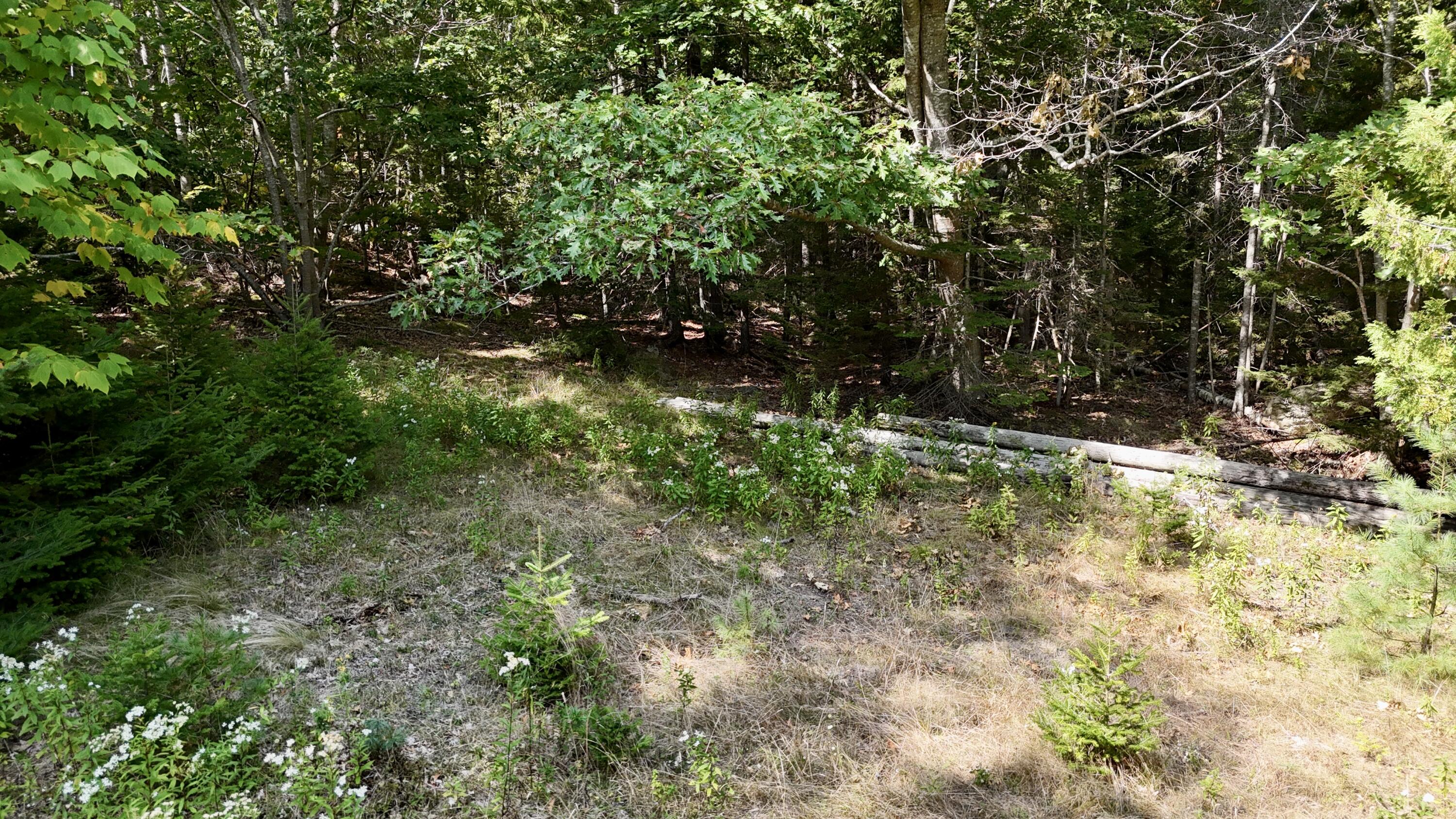 540 Cape Rosier Rd. Road