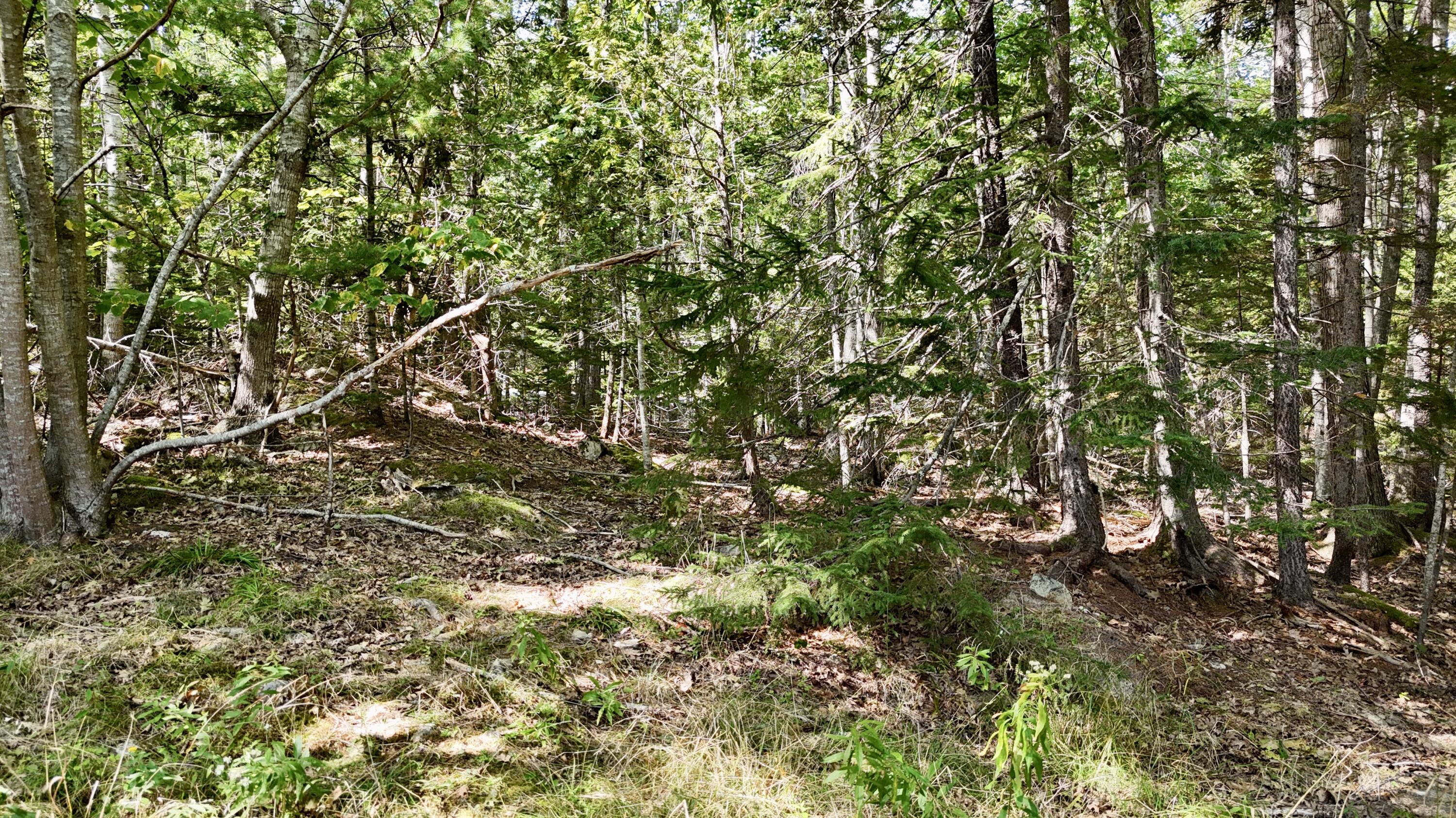 540 Cape Rosier Rd. Road