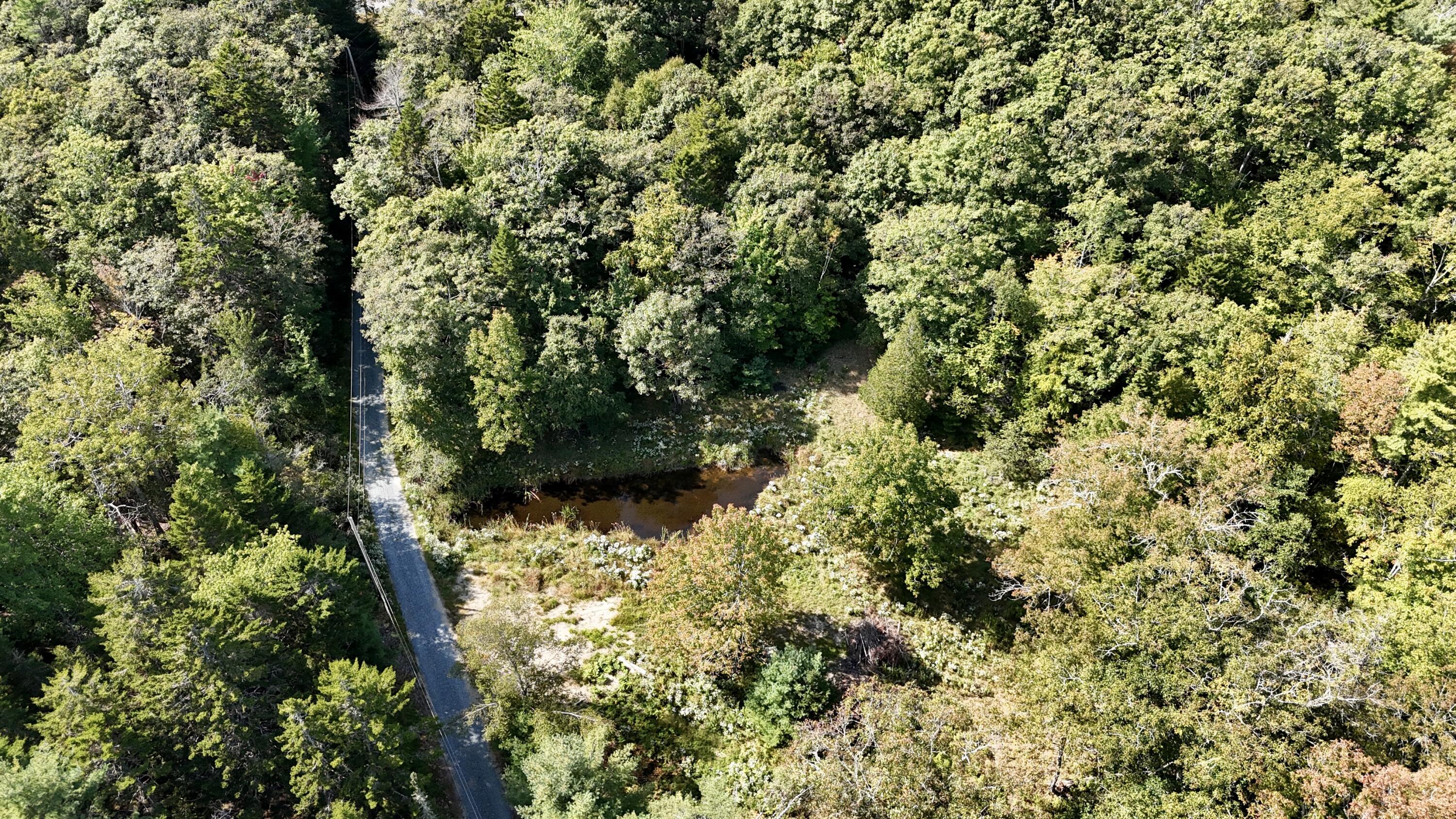 540 Cape Rosier Rd. Road