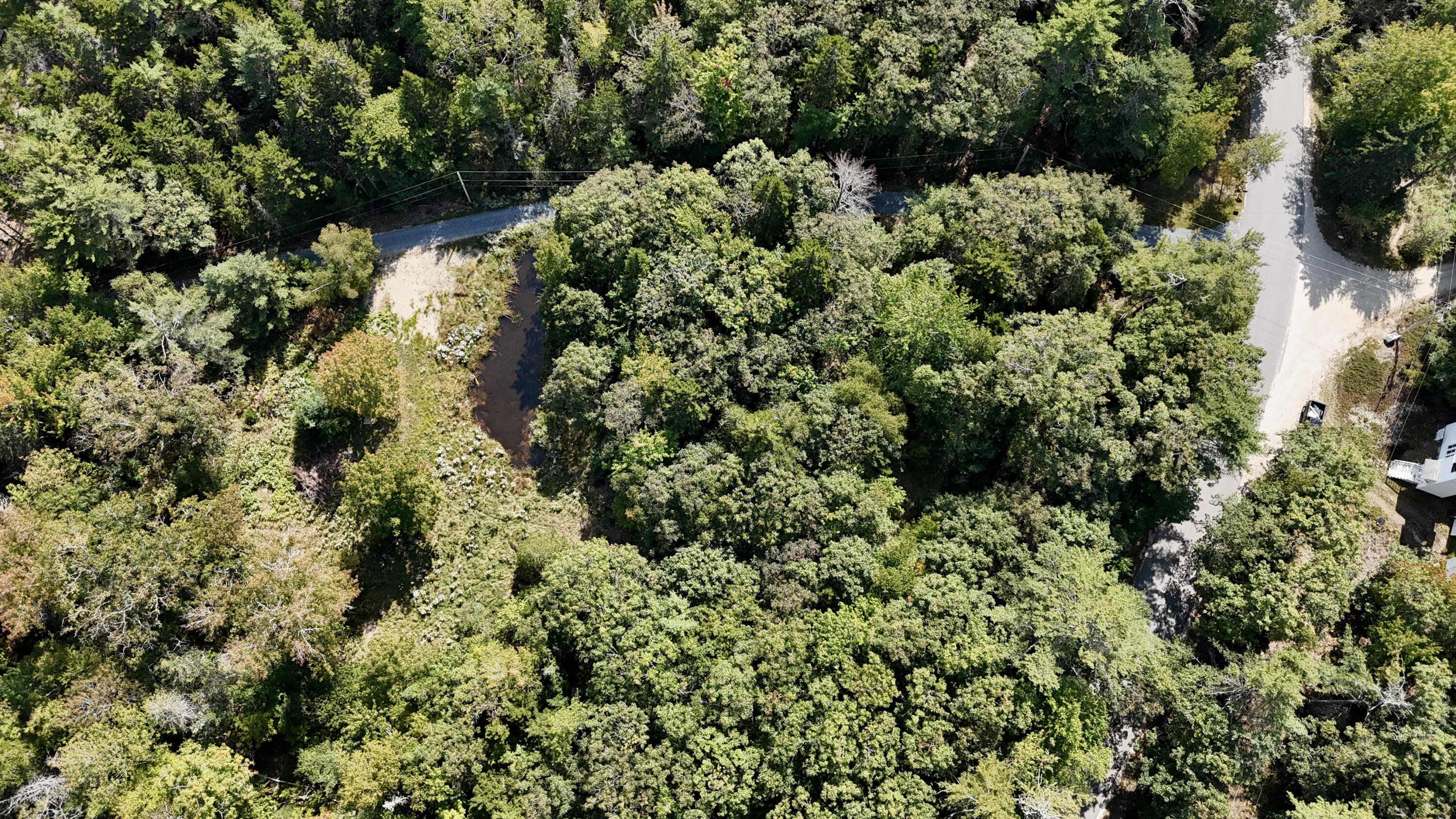 540 Cape Rosier Rd. Road