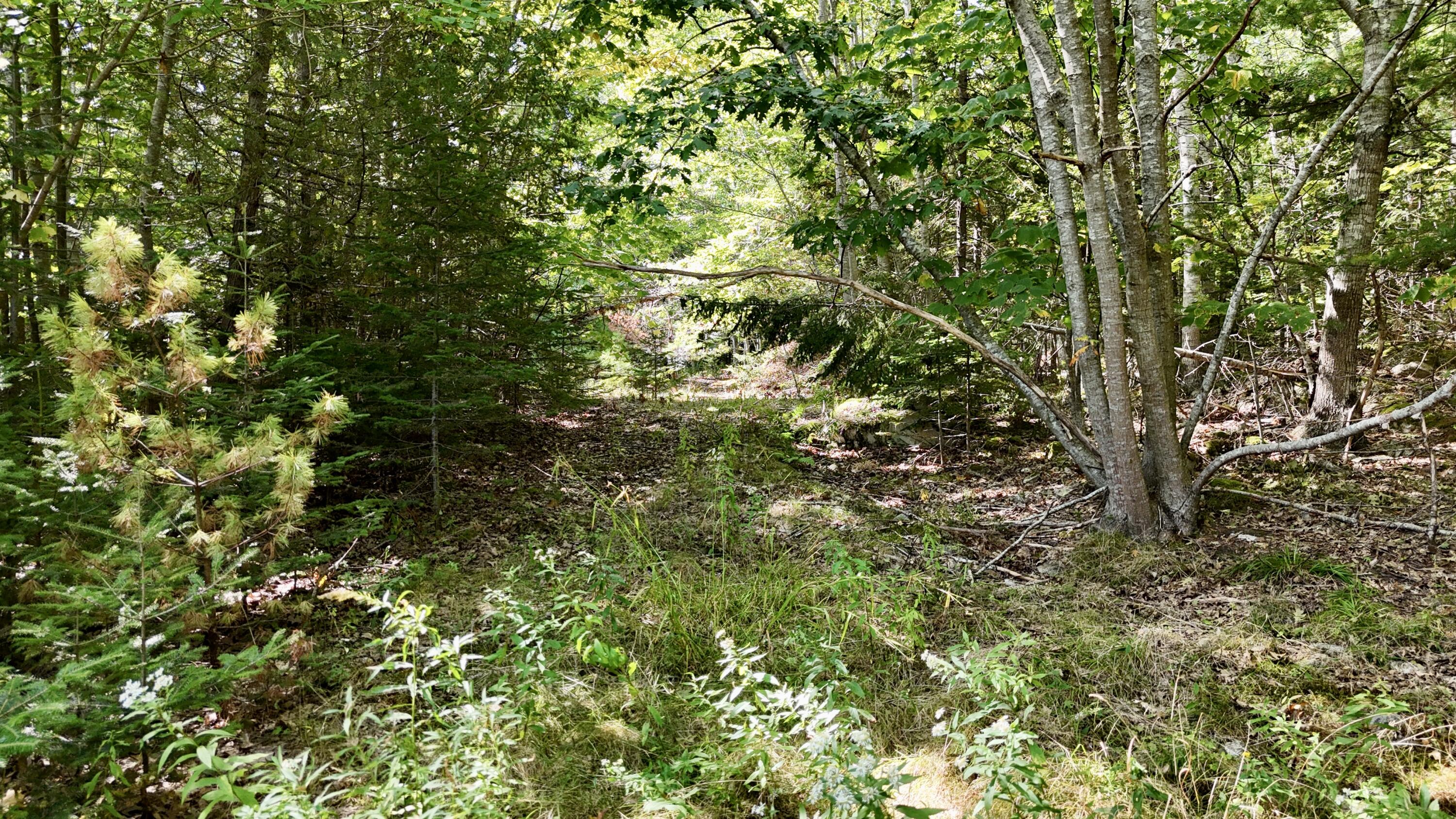 540 Cape Rosier Rd. Road
