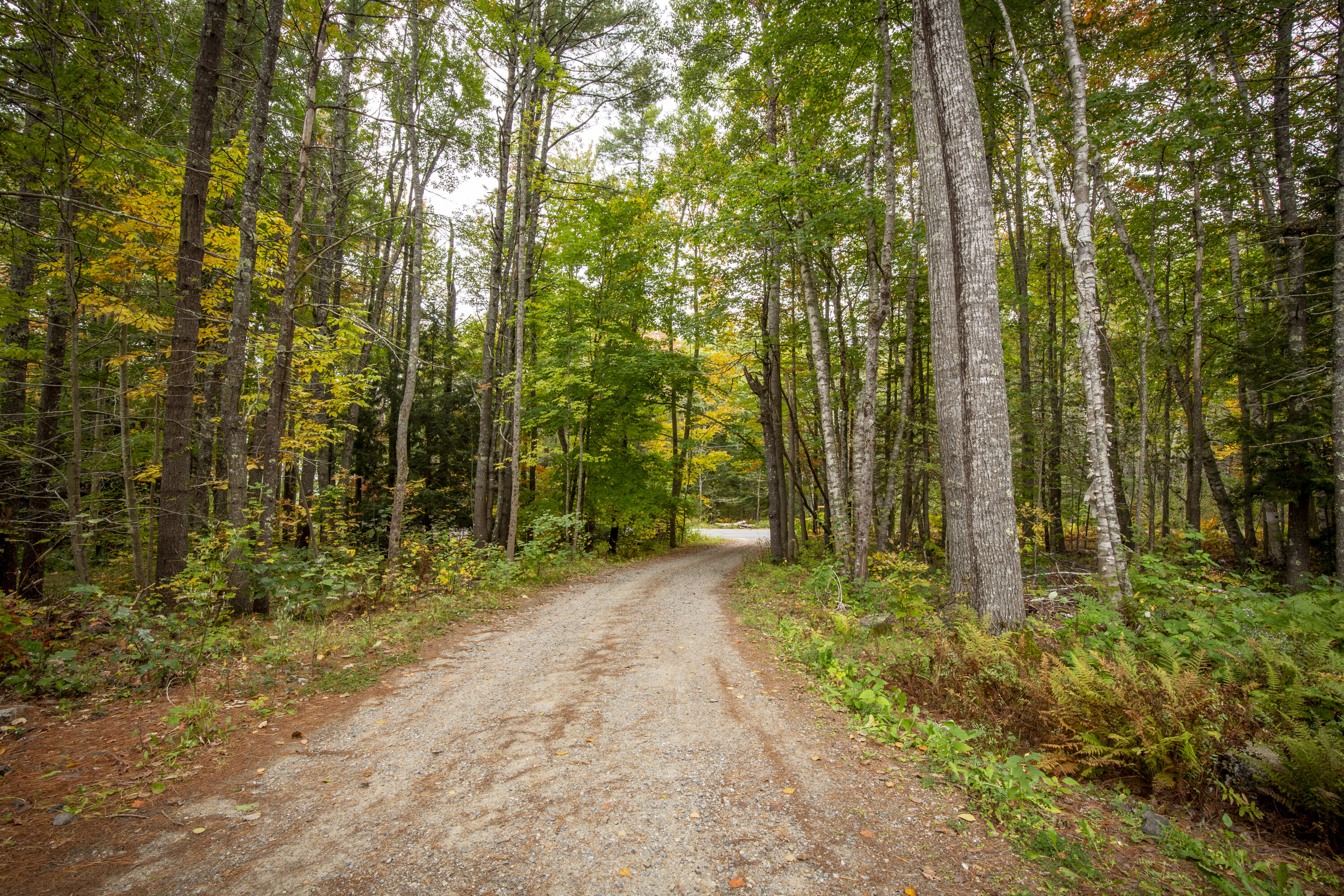 79 Start Road