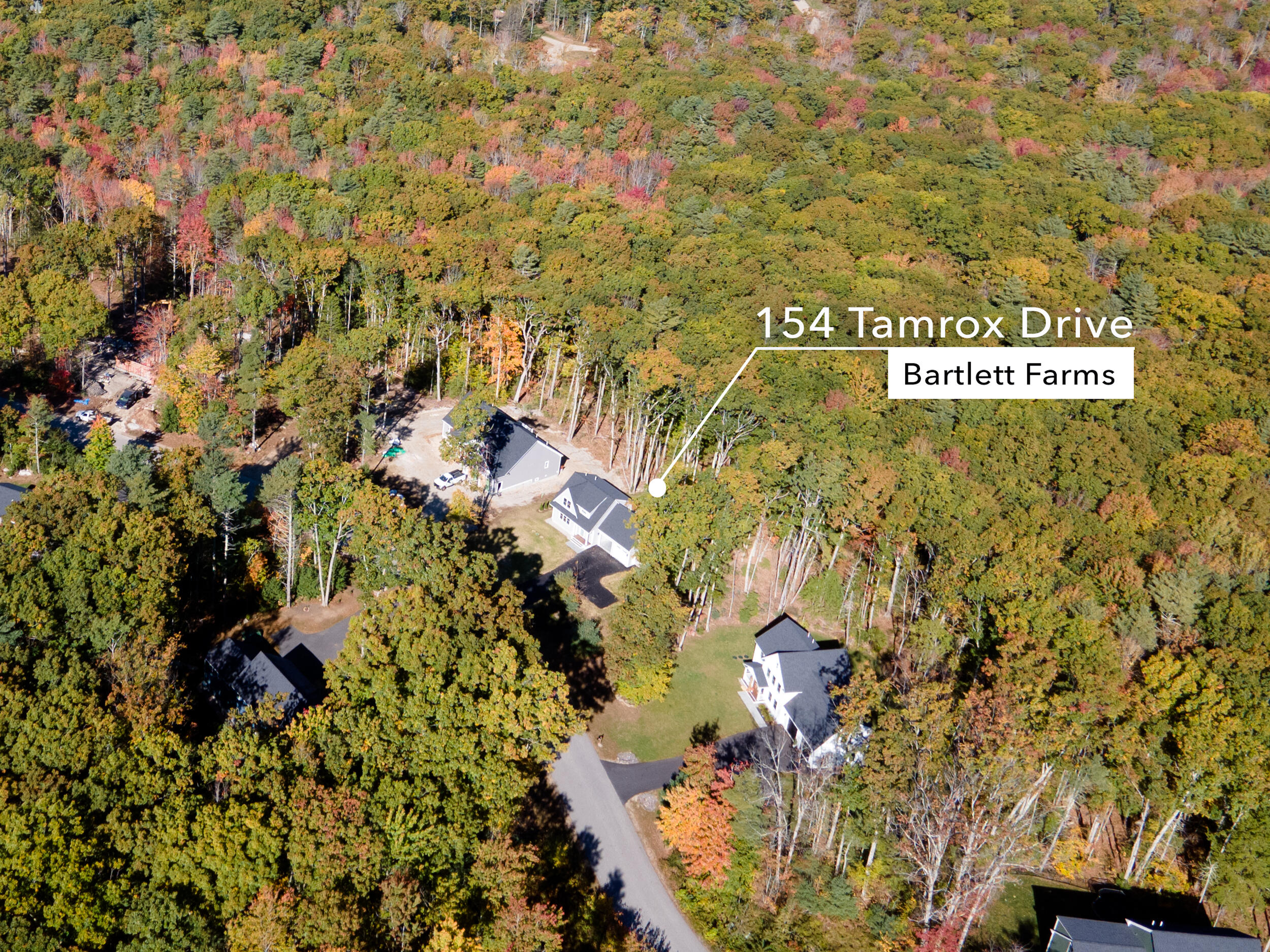 154 Tamrox Drive