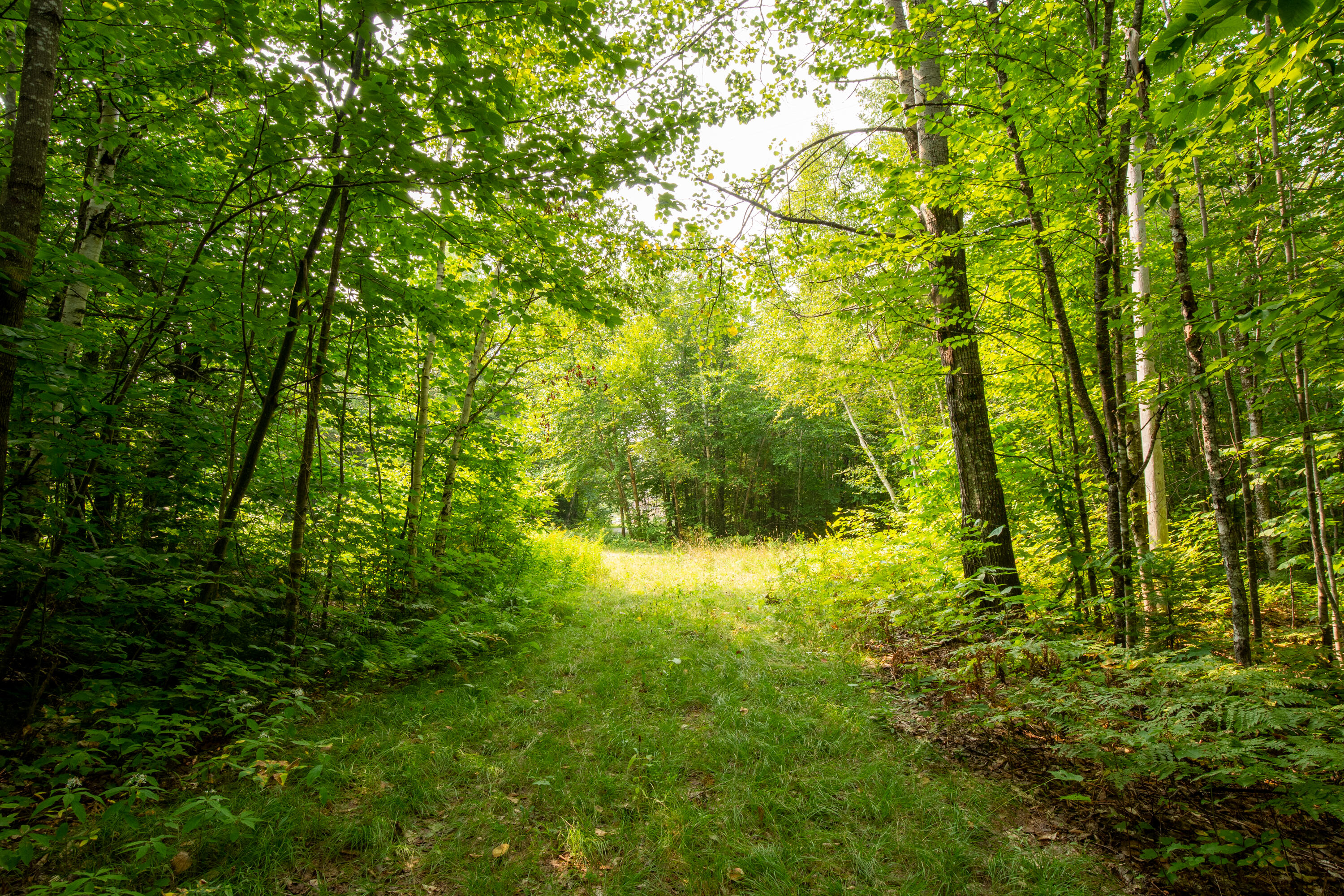 0 Jaquith Pond Road