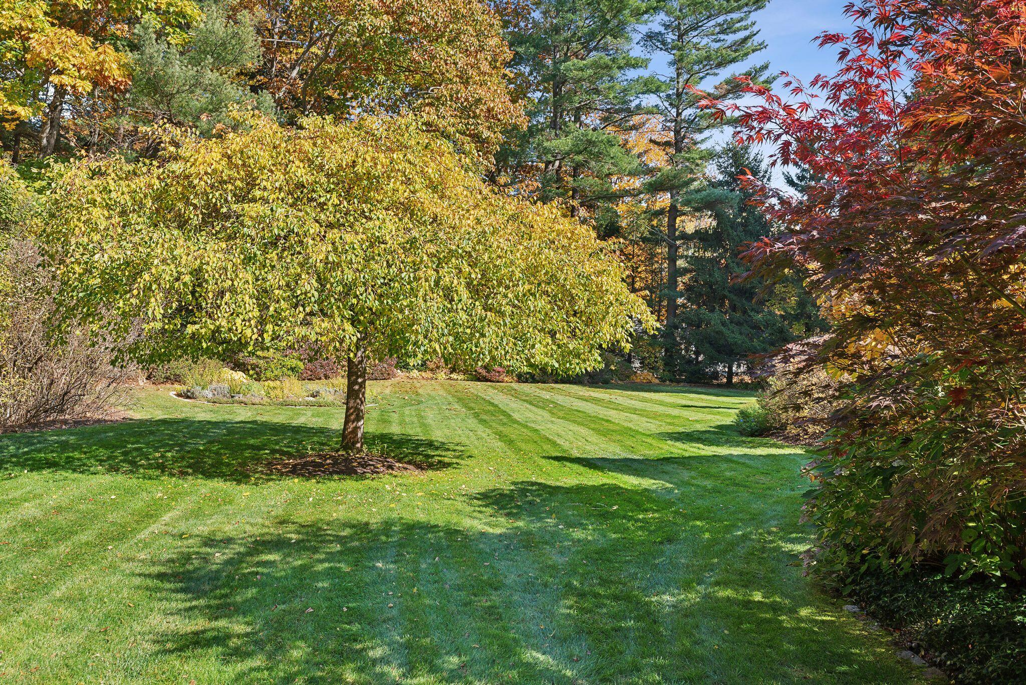 1 White Rock Drive