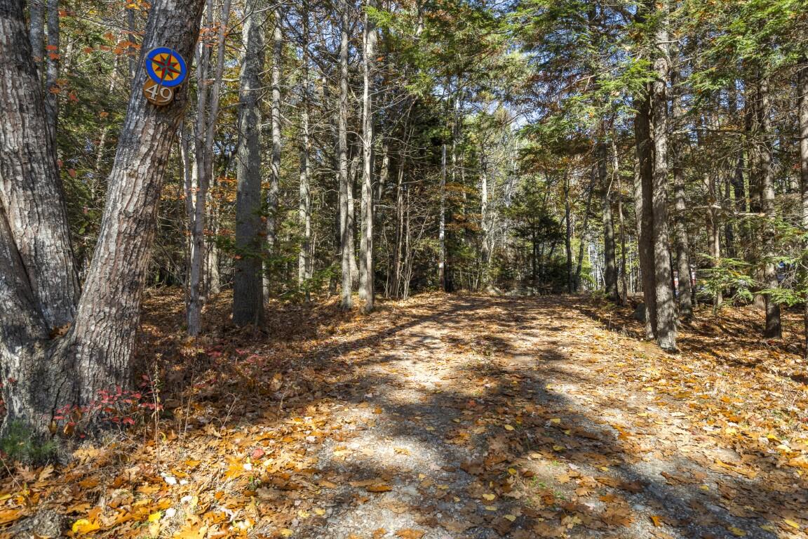 49 Ryder Trail