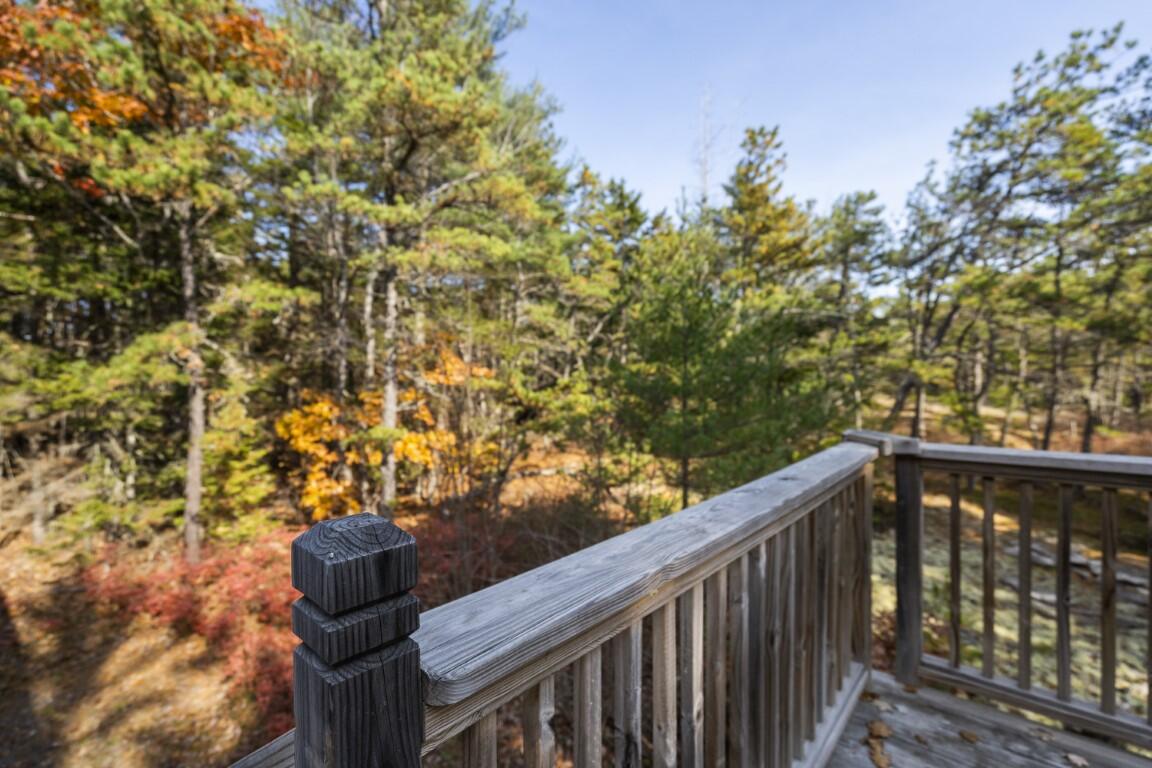 49 Ryder Trail