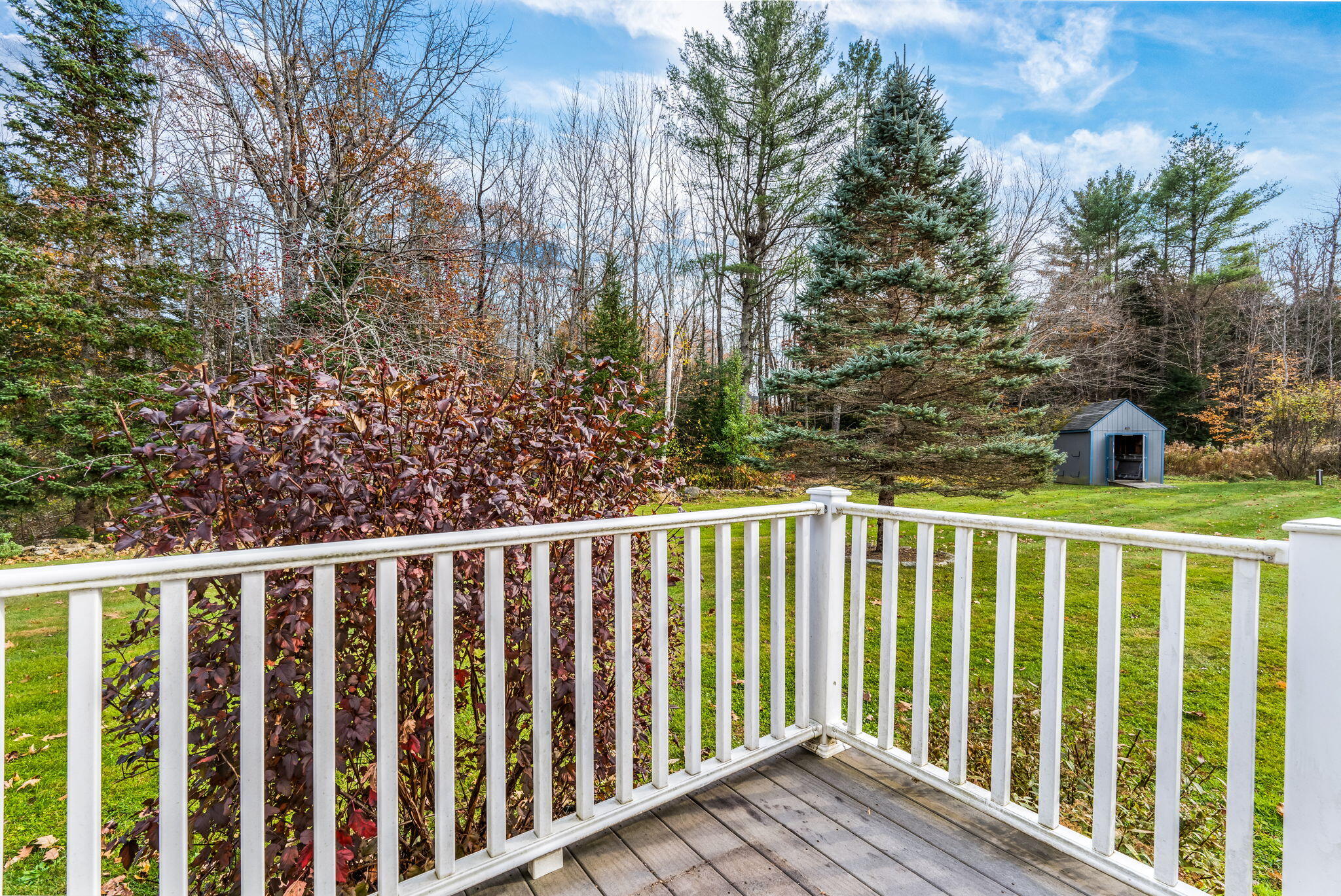46 Longwood Drive