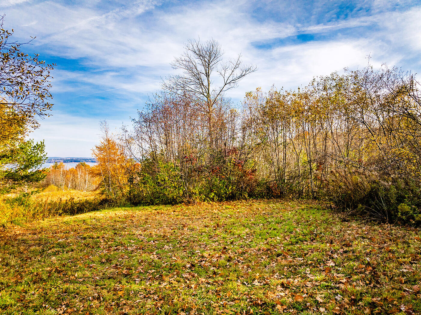 110 Upper Bluff Road