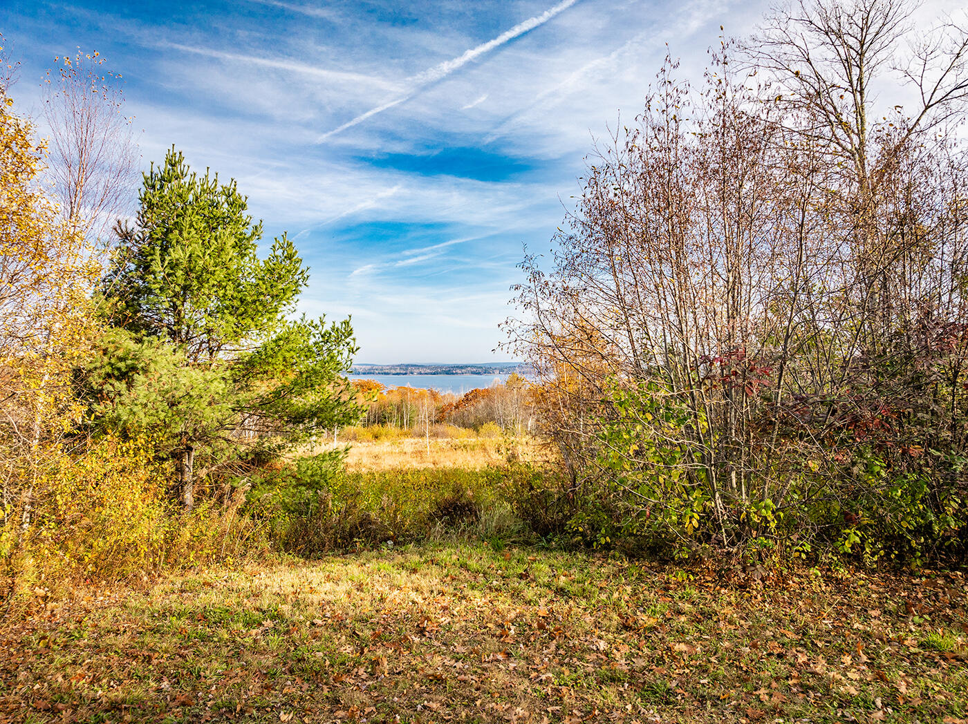 110 Upper Bluff Road