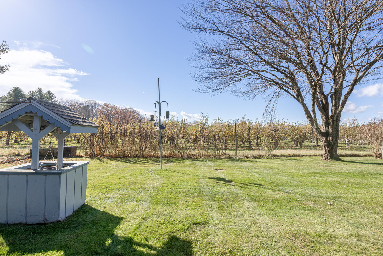 6 Lawn Avenue