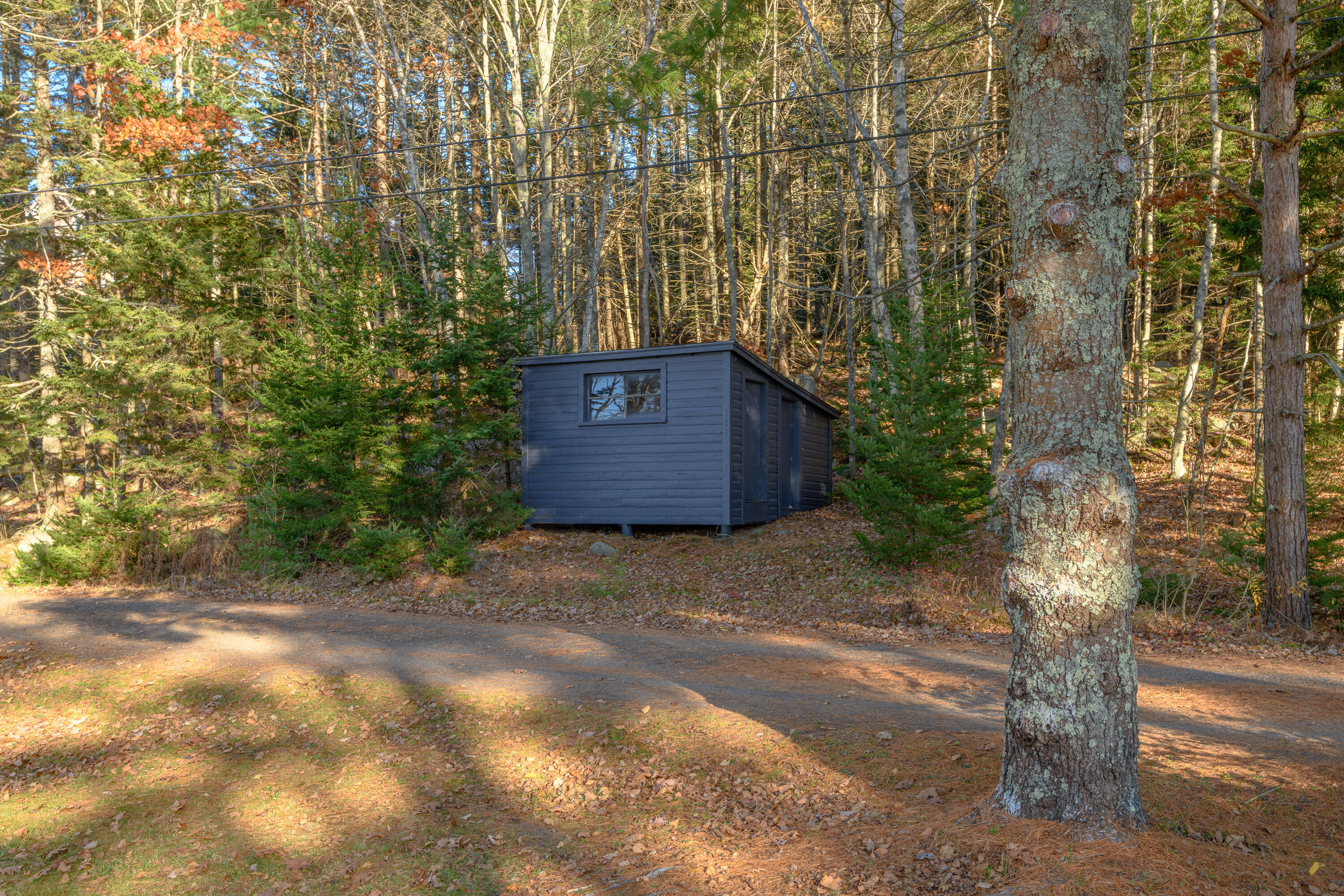 117 & 113 Loop Road