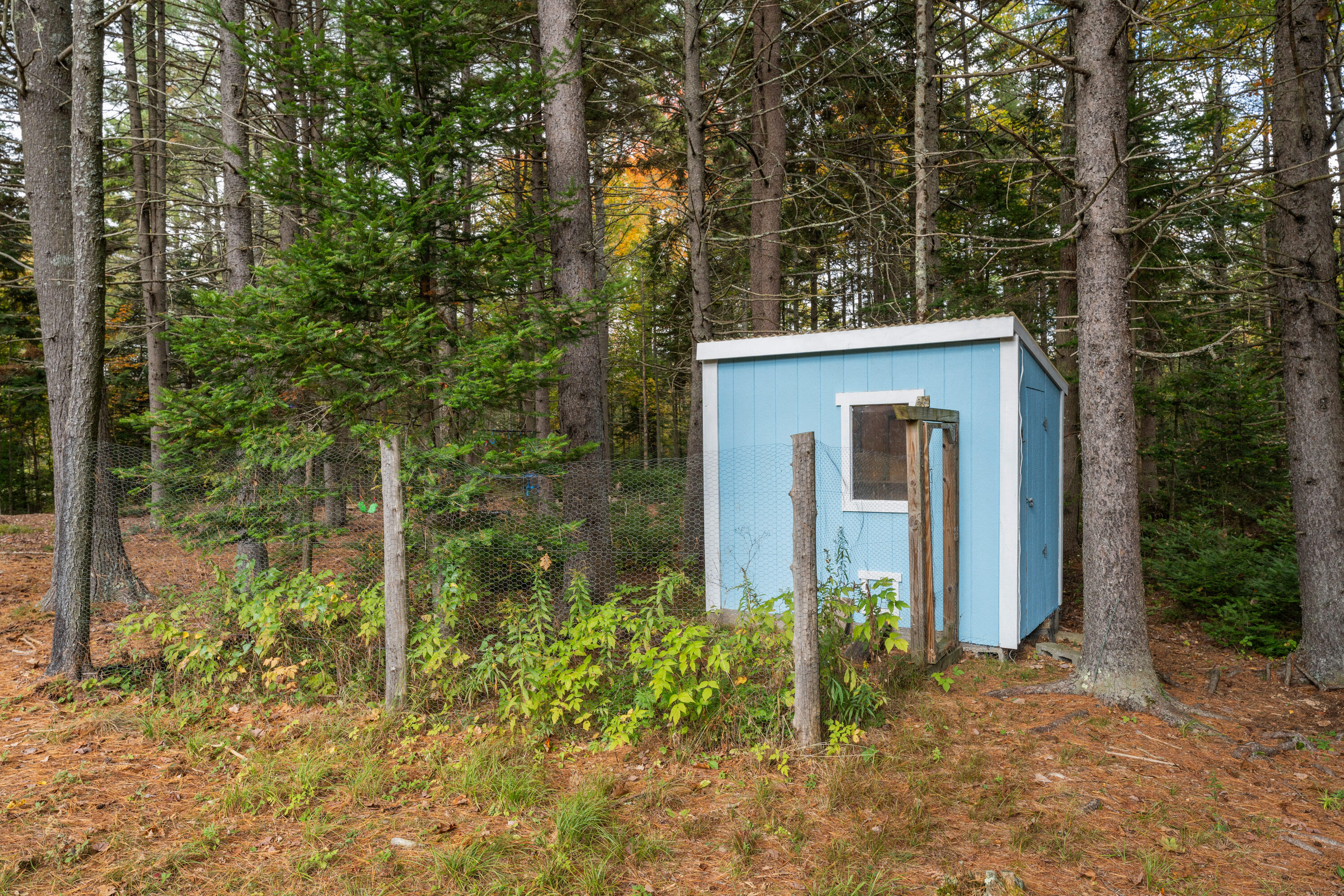 11 Timber Lane