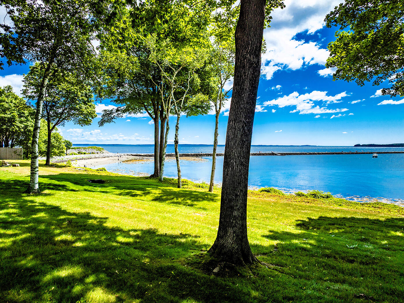 9 Jameson Point Road 10