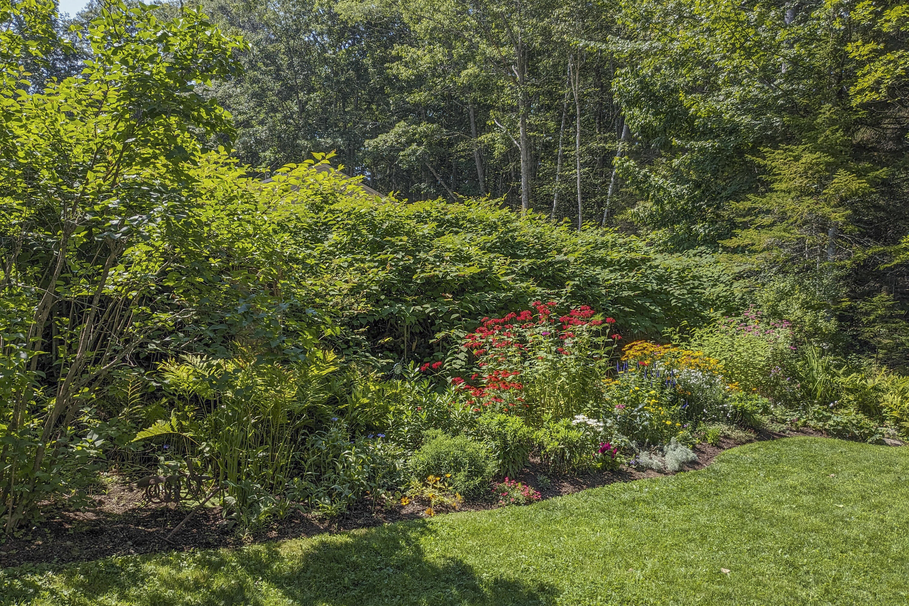 539 Bluff Road