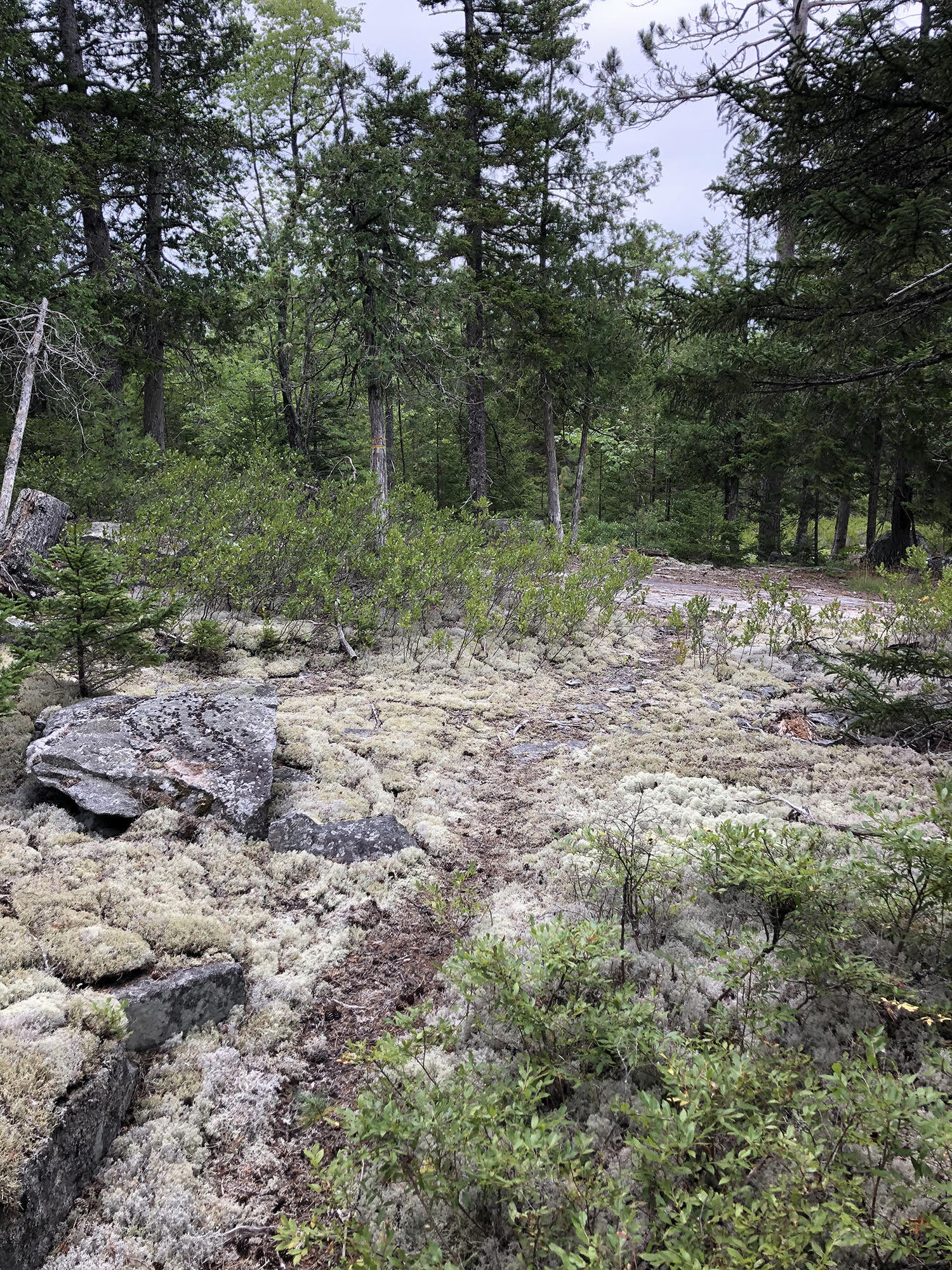 00 Stepping Stone Lane