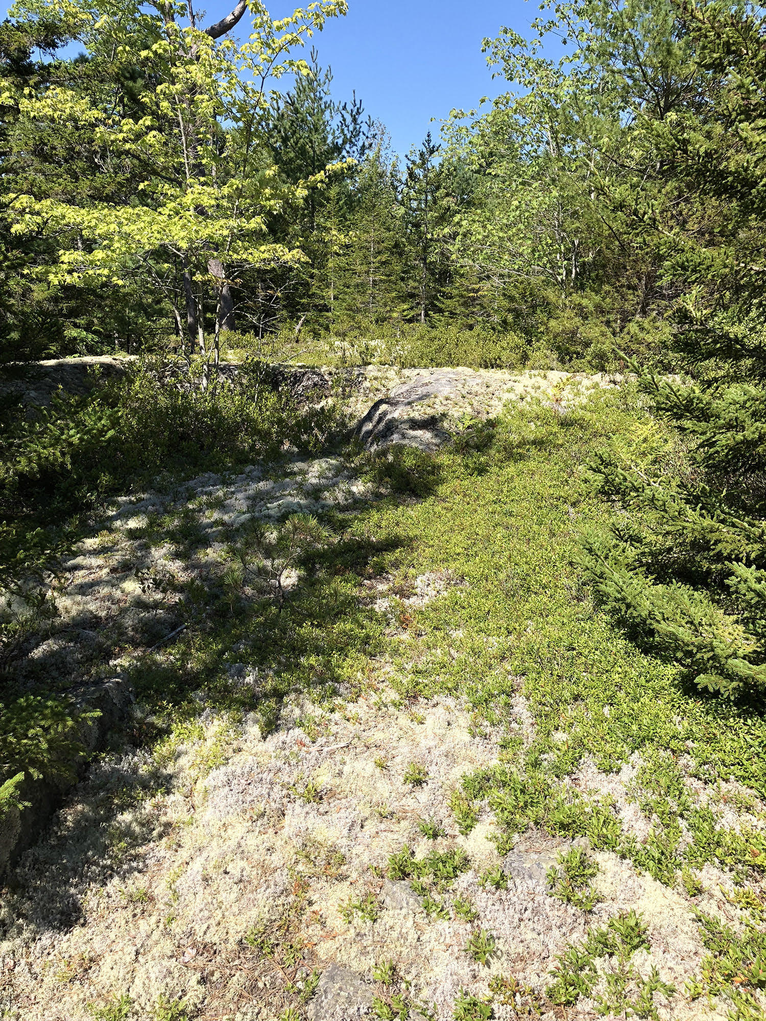 00 Stepping Stone Lane