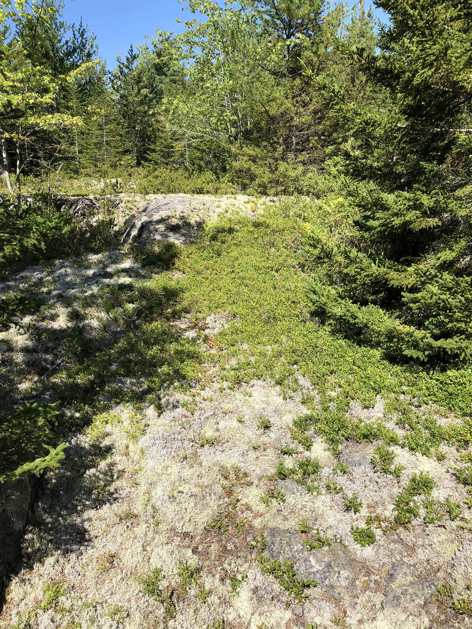 00 Stepping Stone Lane