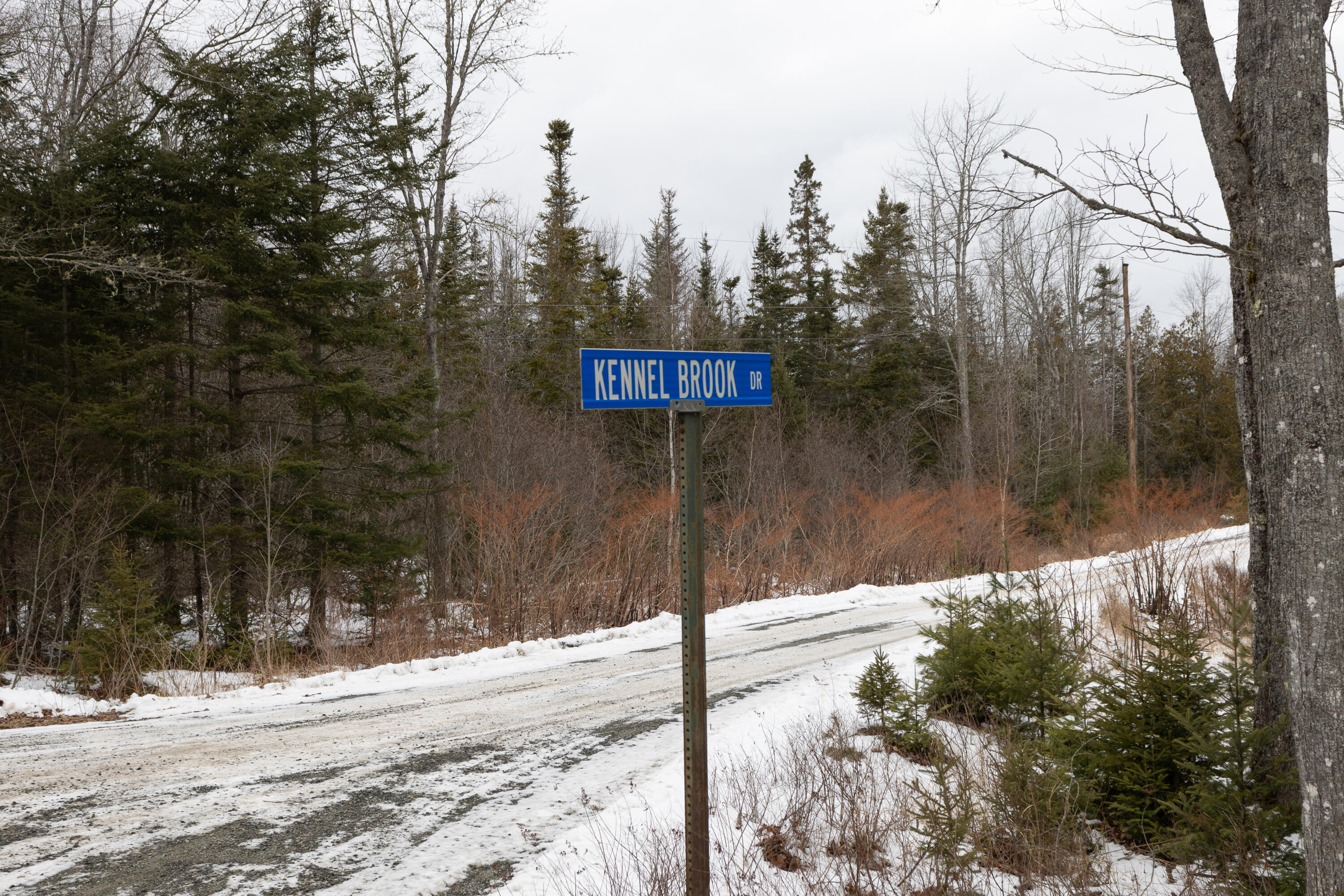 Lot 9 Kennel Brook Drive