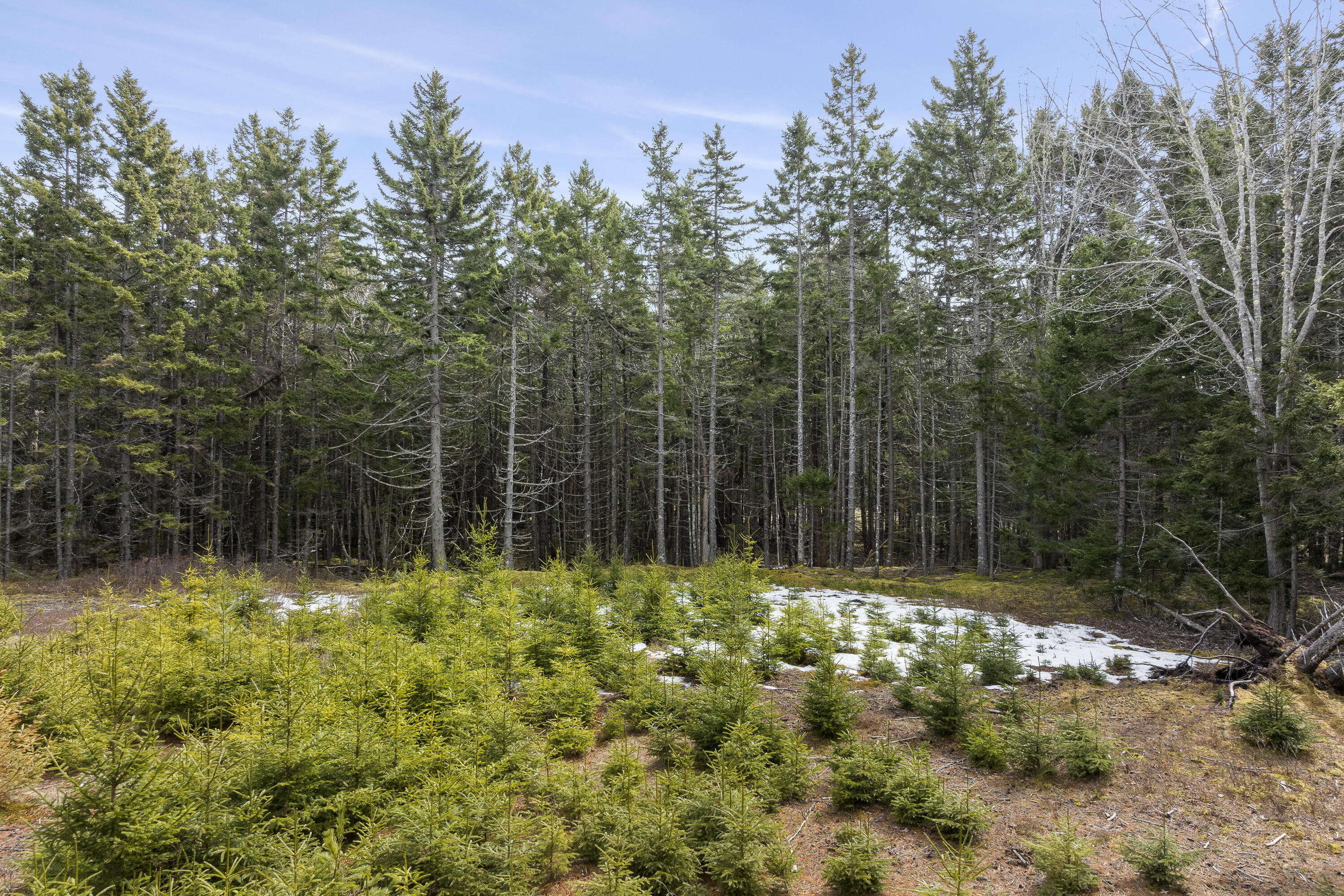 41 Wawenock Trail