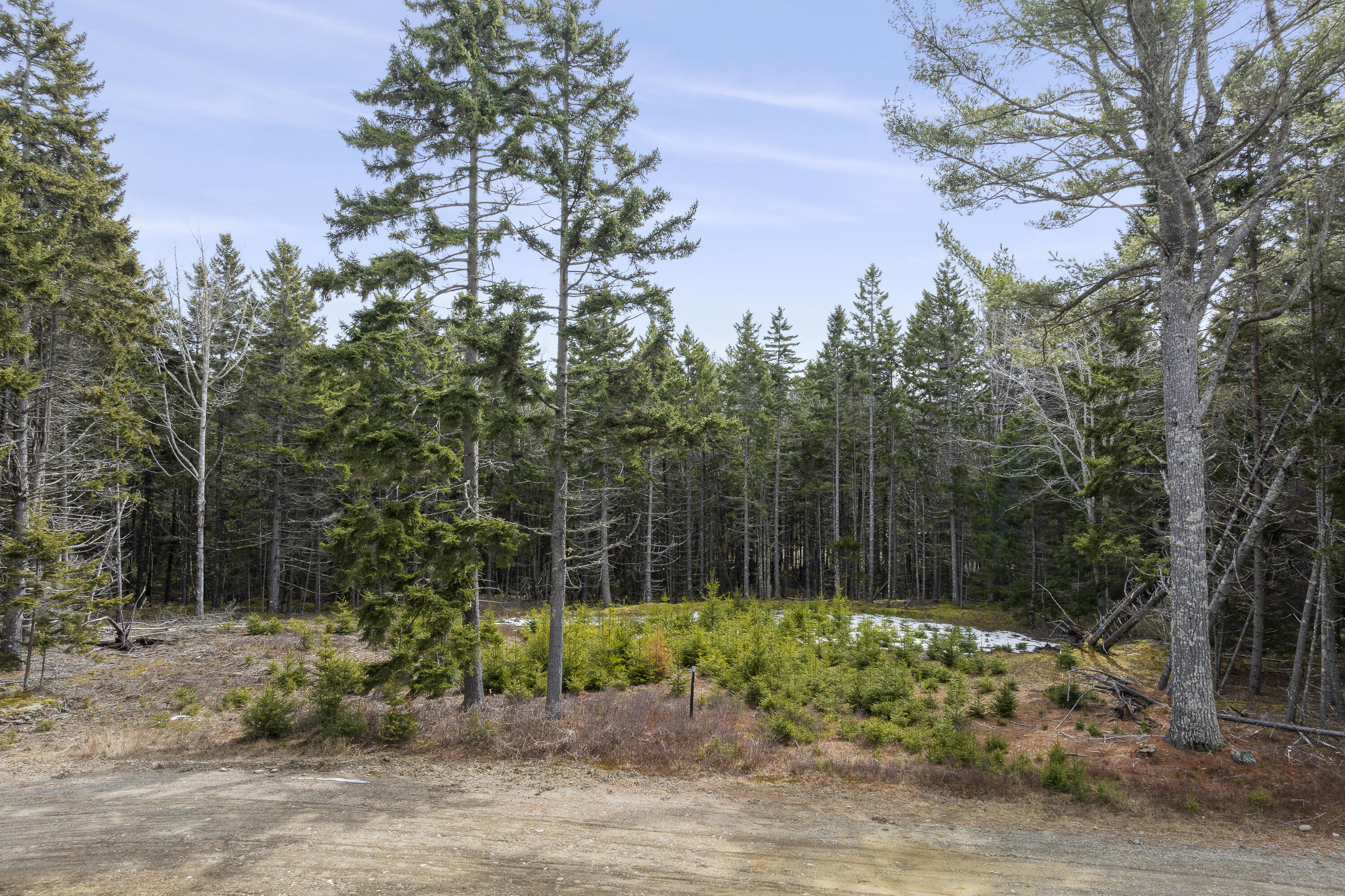 41 Wawenock Trail