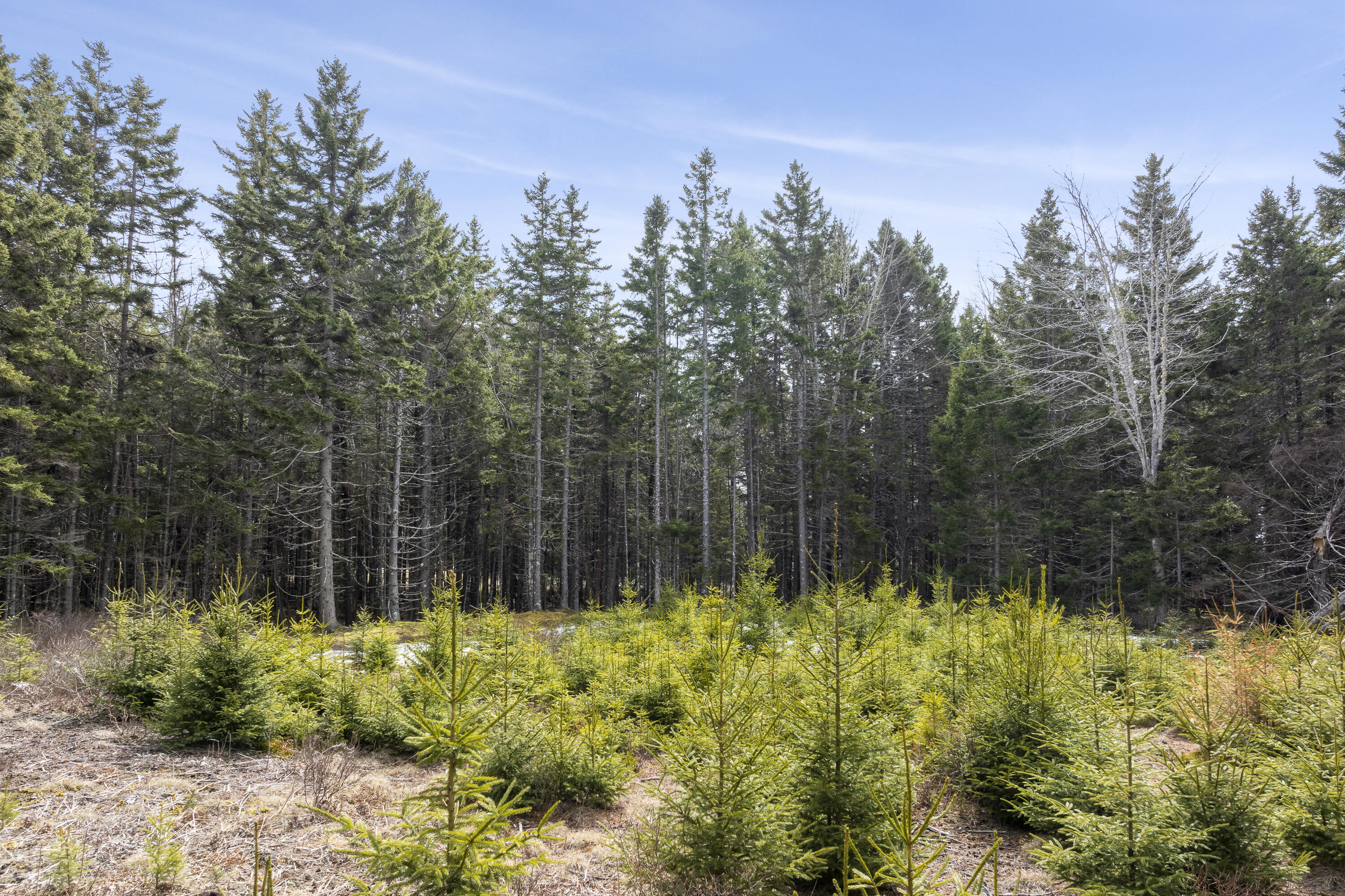 41 Wawenock Trail
