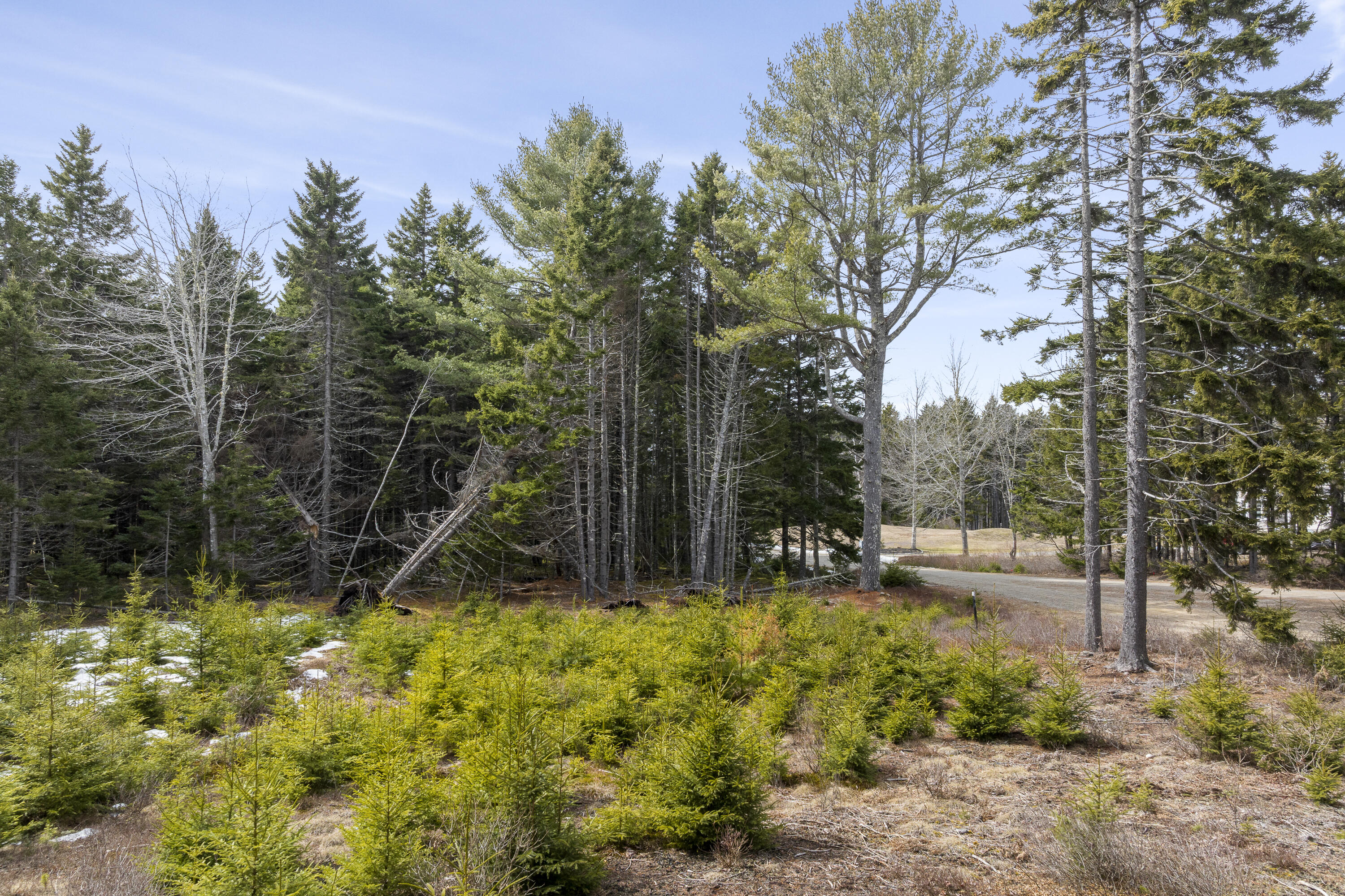 41 Wawenock Trail