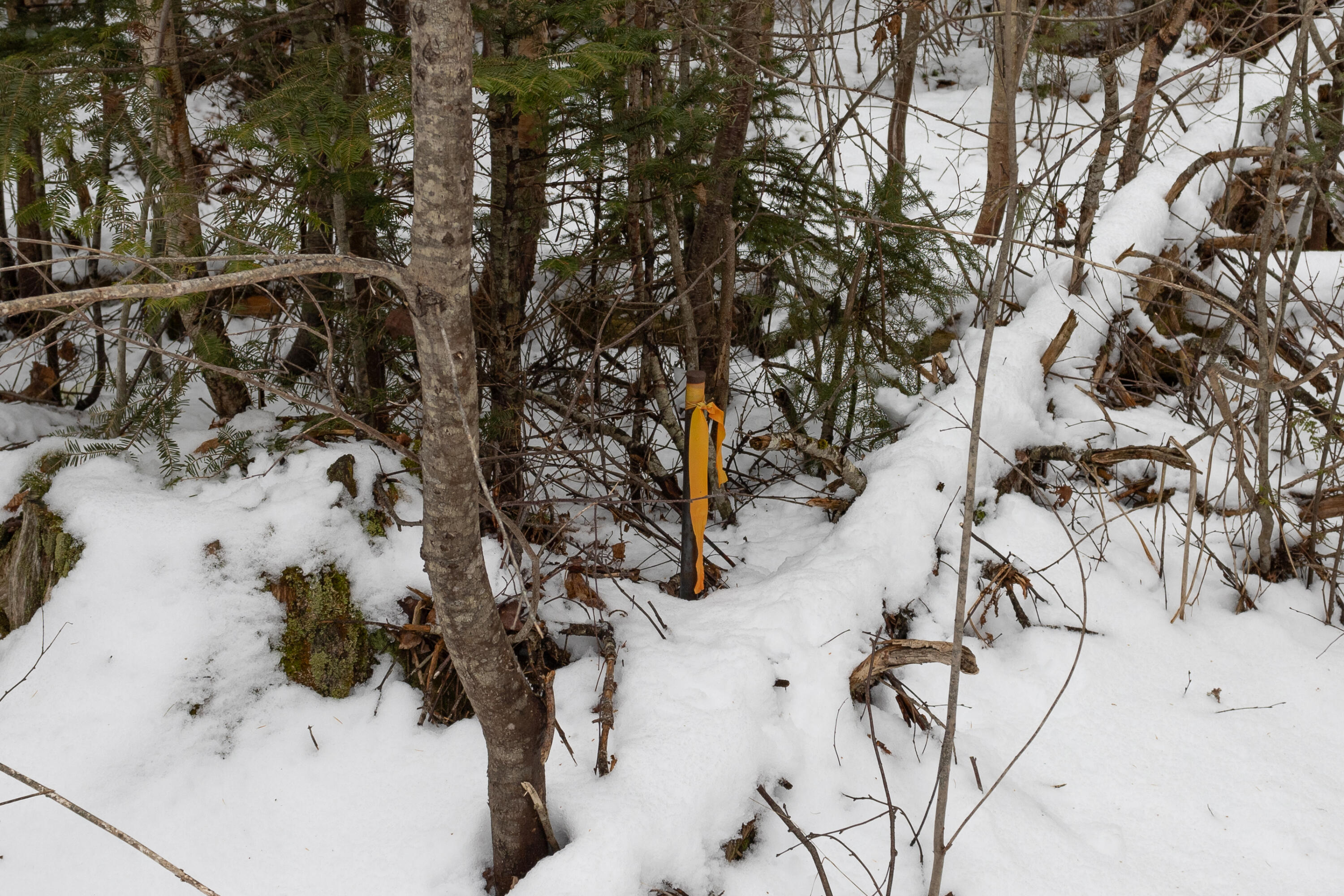 Lot 12 Kennel Brook Drive